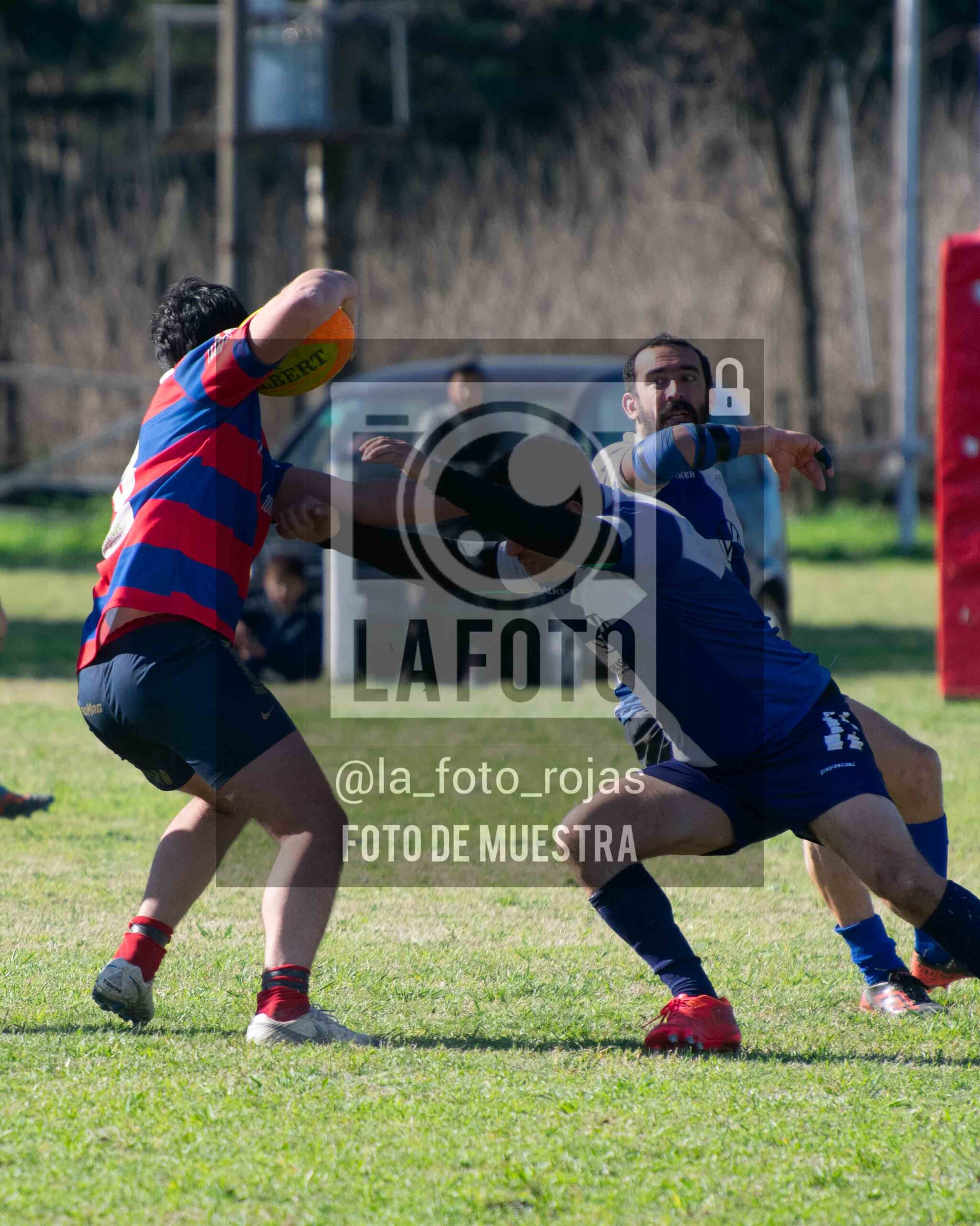 Foto #6157
