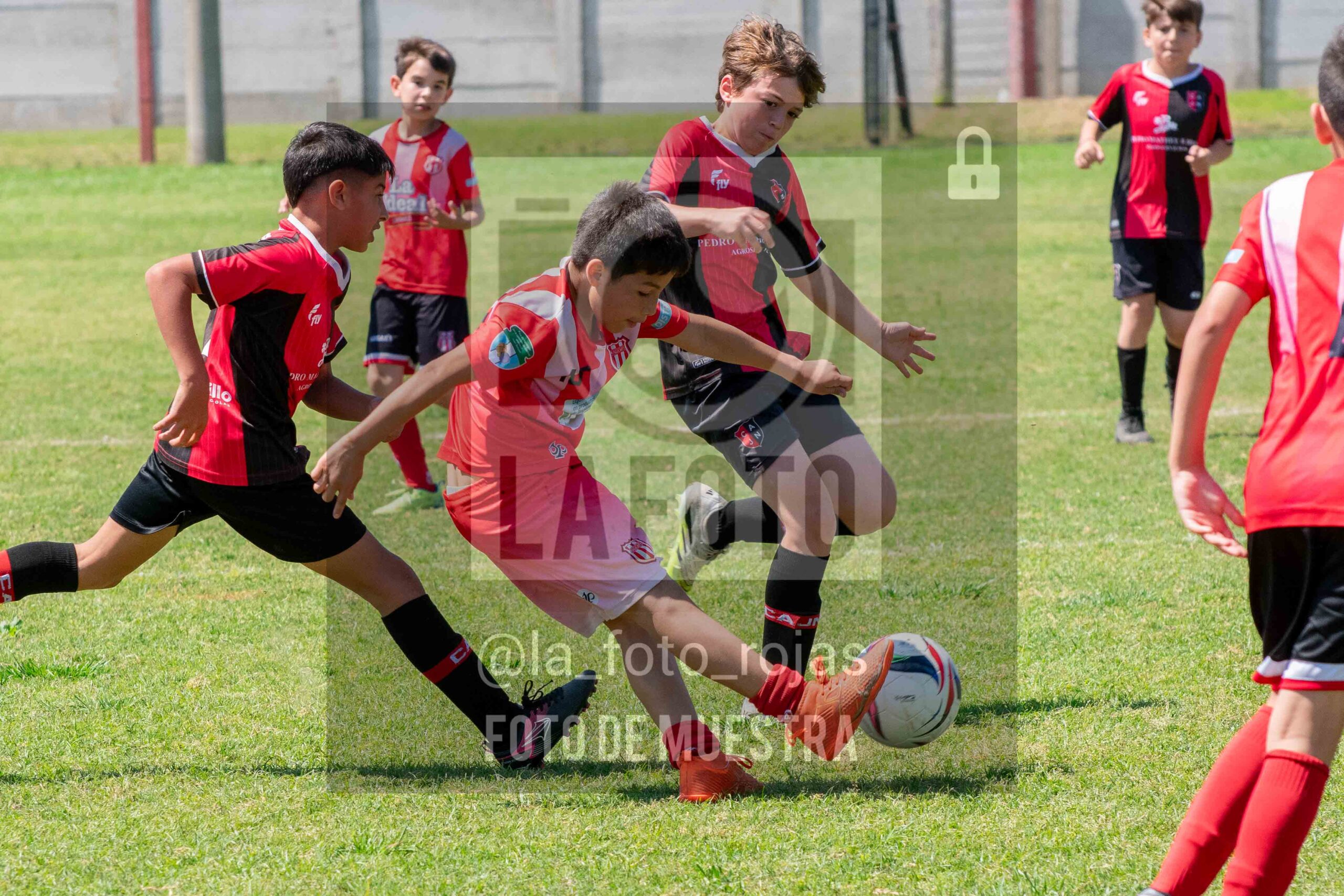 Fotografía 2014-NEW-JUVE-21-scaled de NEWBERY - JUVENTUD / 2014