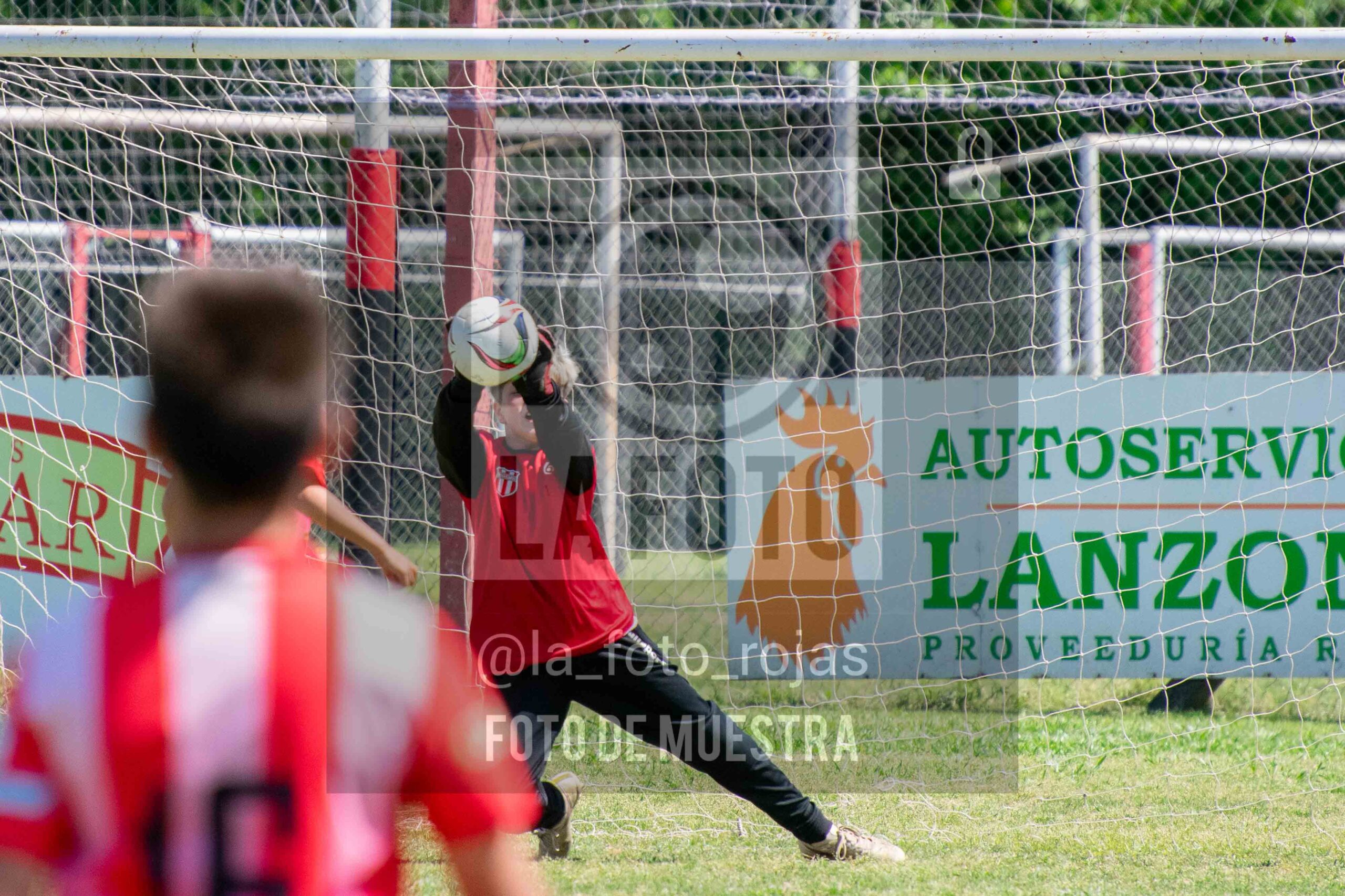 Fotografía 2014-NEW-JUVE-46-scaled de NEWBERY - JUVENTUD / 2014