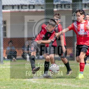 Fotografía 2014-NEW-JUVE-49-scaled de NEWBERY - JUVENTUD / 2014