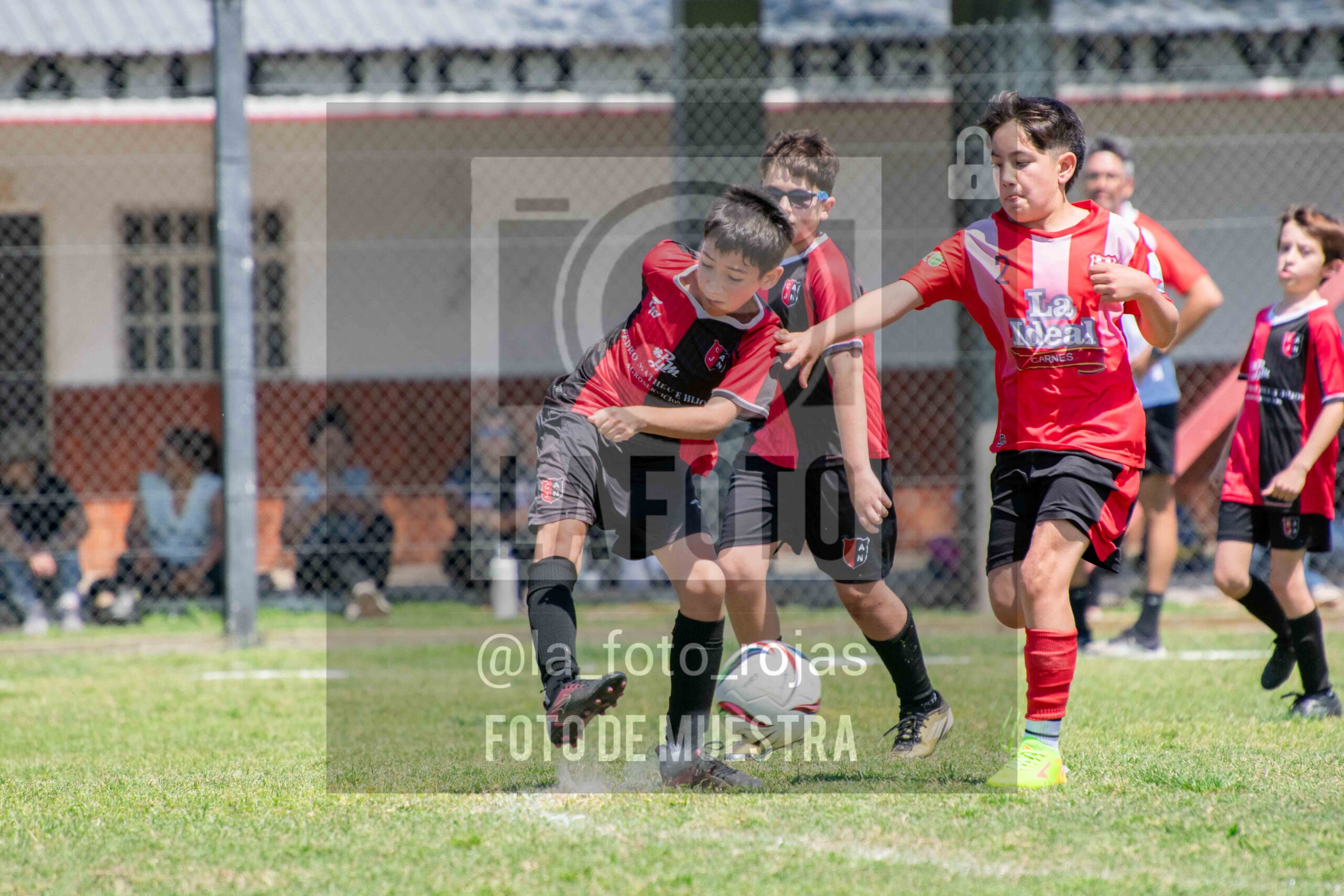 Fotografía 2014-NEW-JUVE-49-scaled de NEWBERY - JUVENTUD / 2014