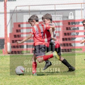 Fotografía 2014-NEW-JUVE-51-scaled de NEWBERY - JUVENTUD / 2014