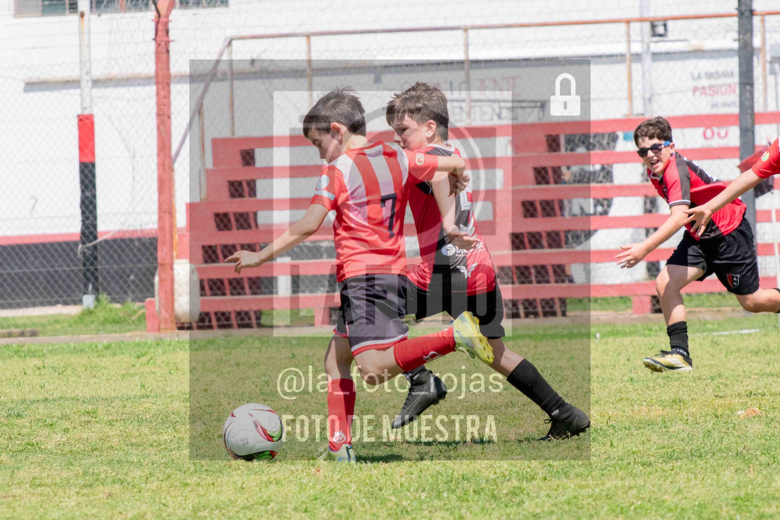 Fotografía 2014-NEW-JUVE-51-scaled de NEWBERY - JUVENTUD / 2014
