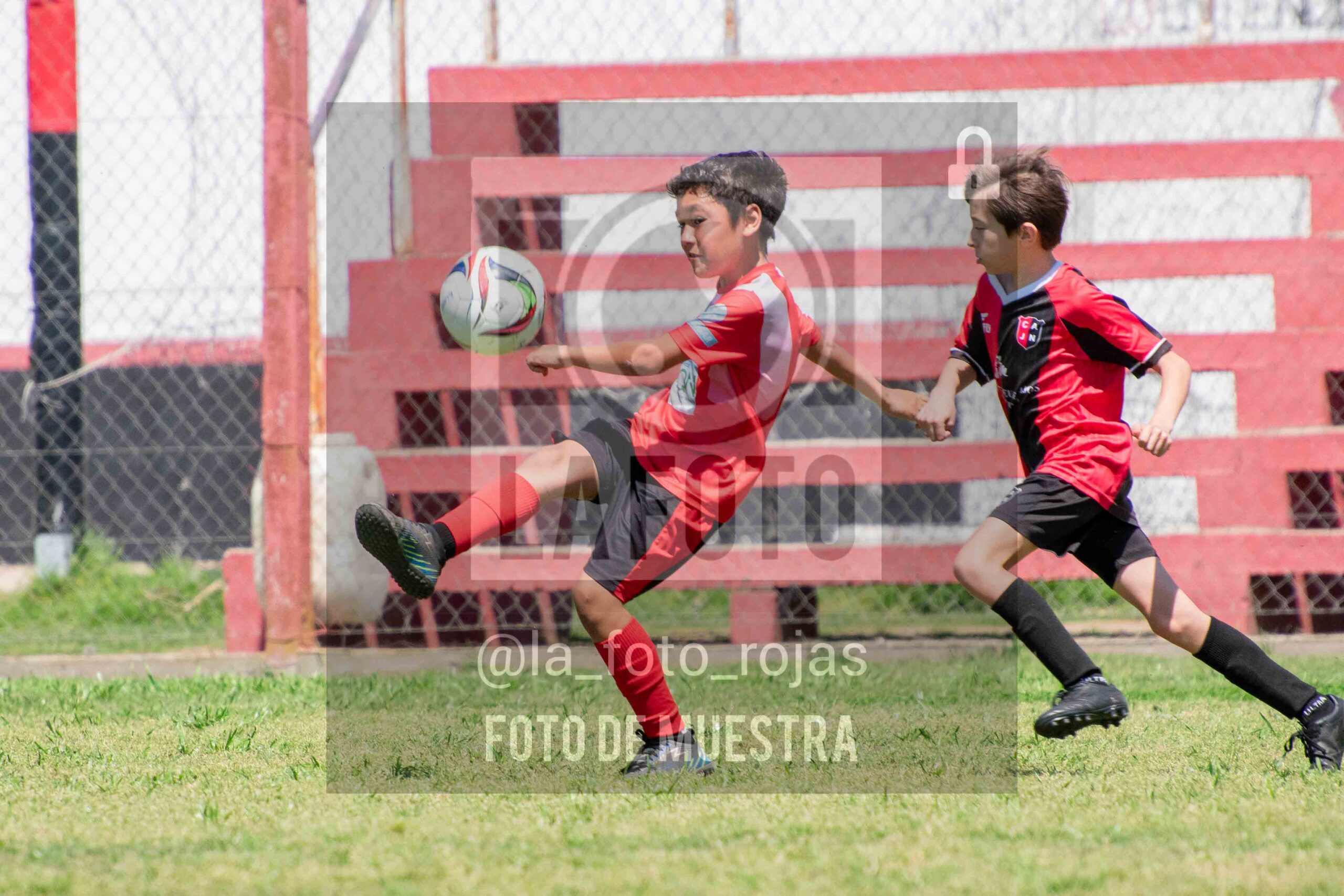 Fotografía 2014-NEW-JUVE-53-scaled de NEWBERY - JUVENTUD / 2014