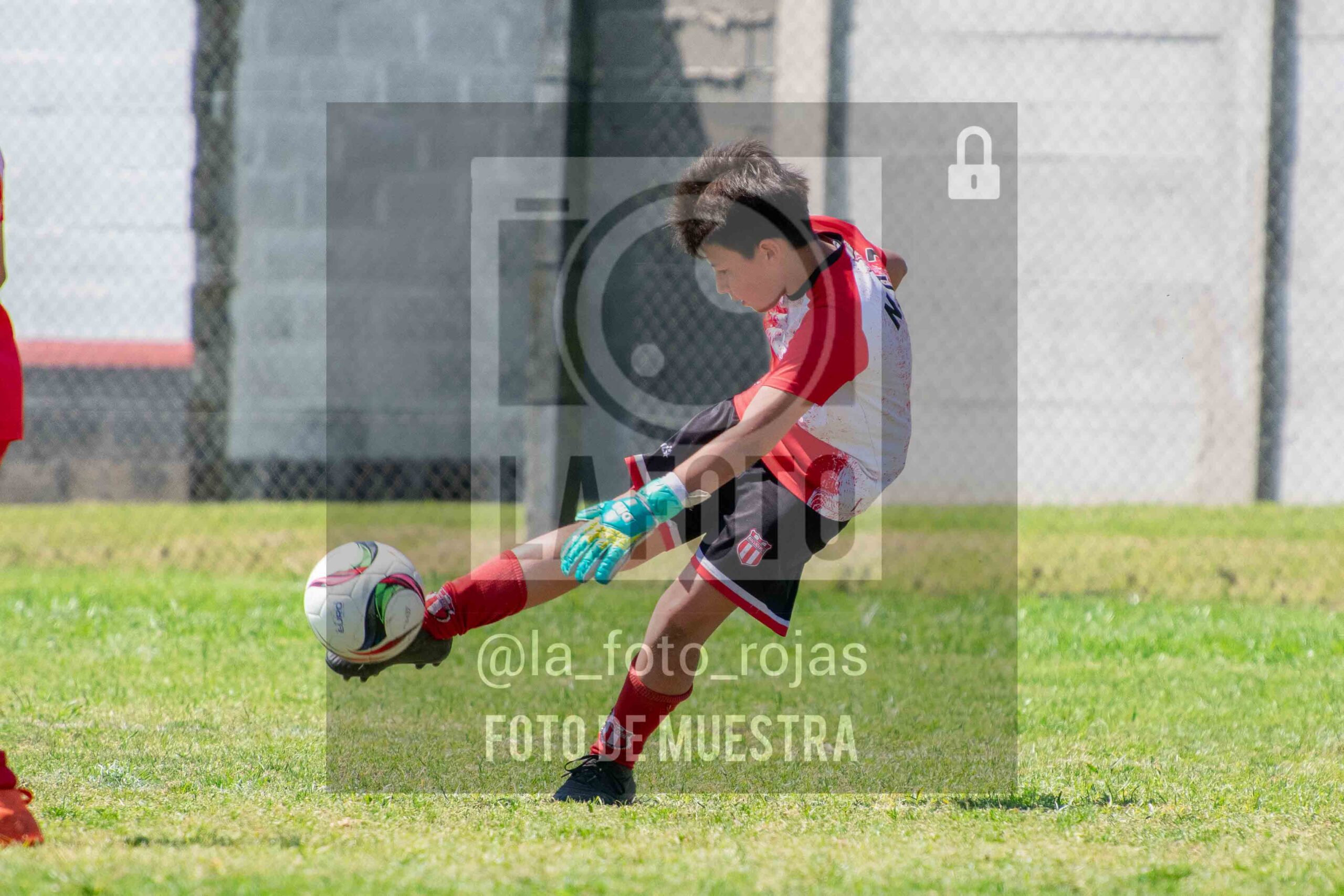 Fotografía 2014-NEW-JUVE-67-scaled de NEWBERY - JUVENTUD / 2014