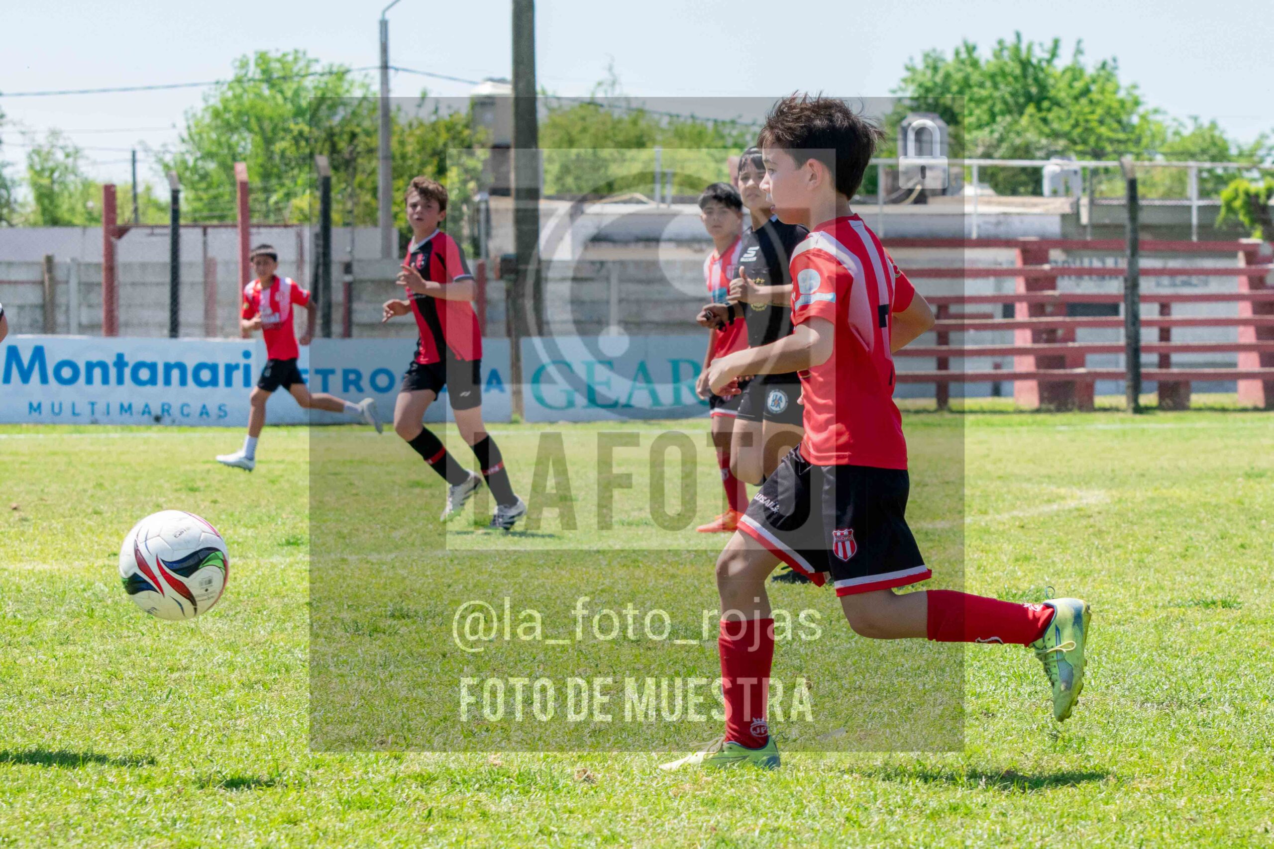 Fotografía 2014-NEW-JUVE-69-scaled de NEWBERY - JUVENTUD / 2014