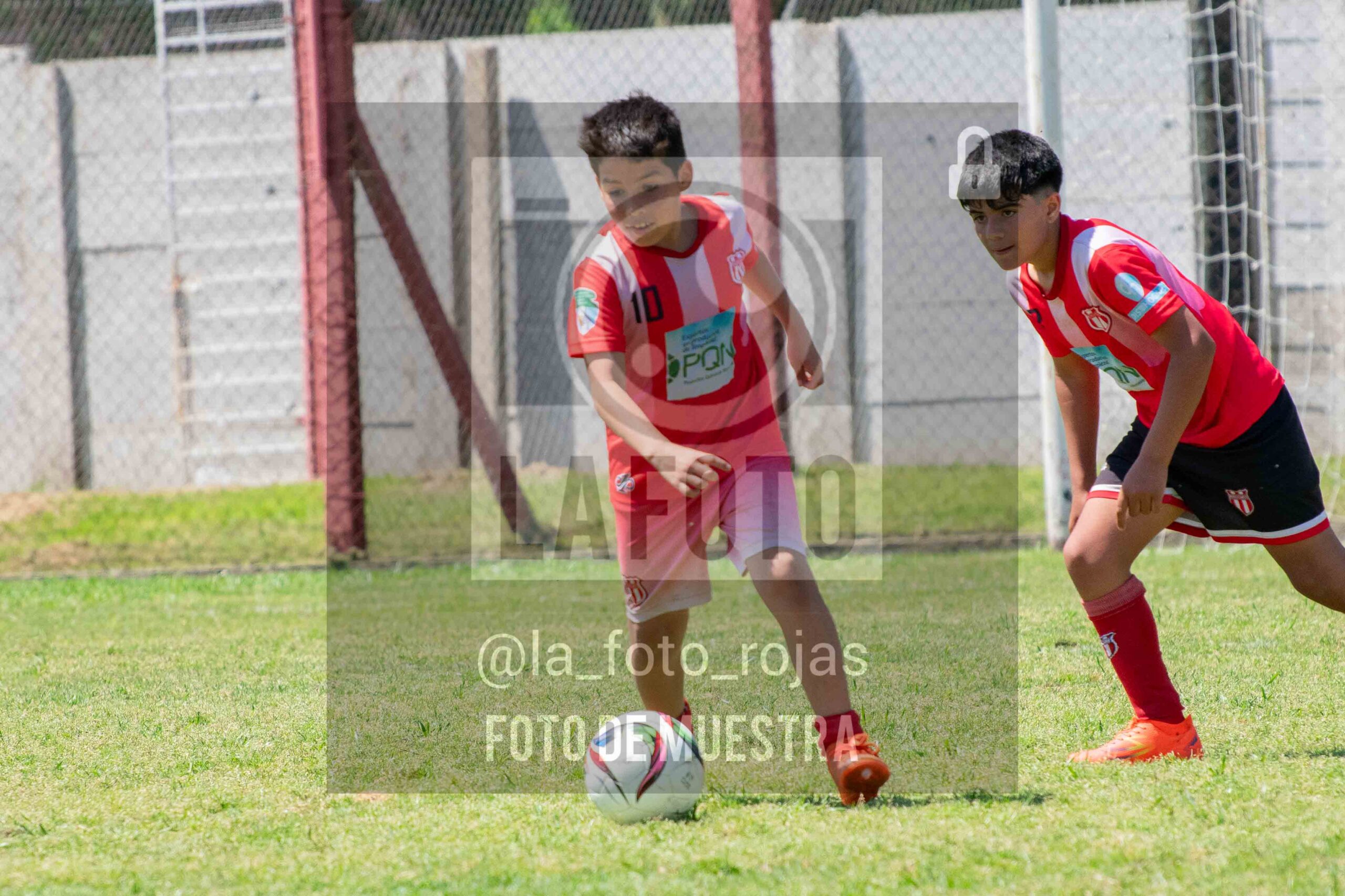 Fotografía 2014-NEW-JUVE-74-scaled de NEWBERY - JUVENTUD / 2014