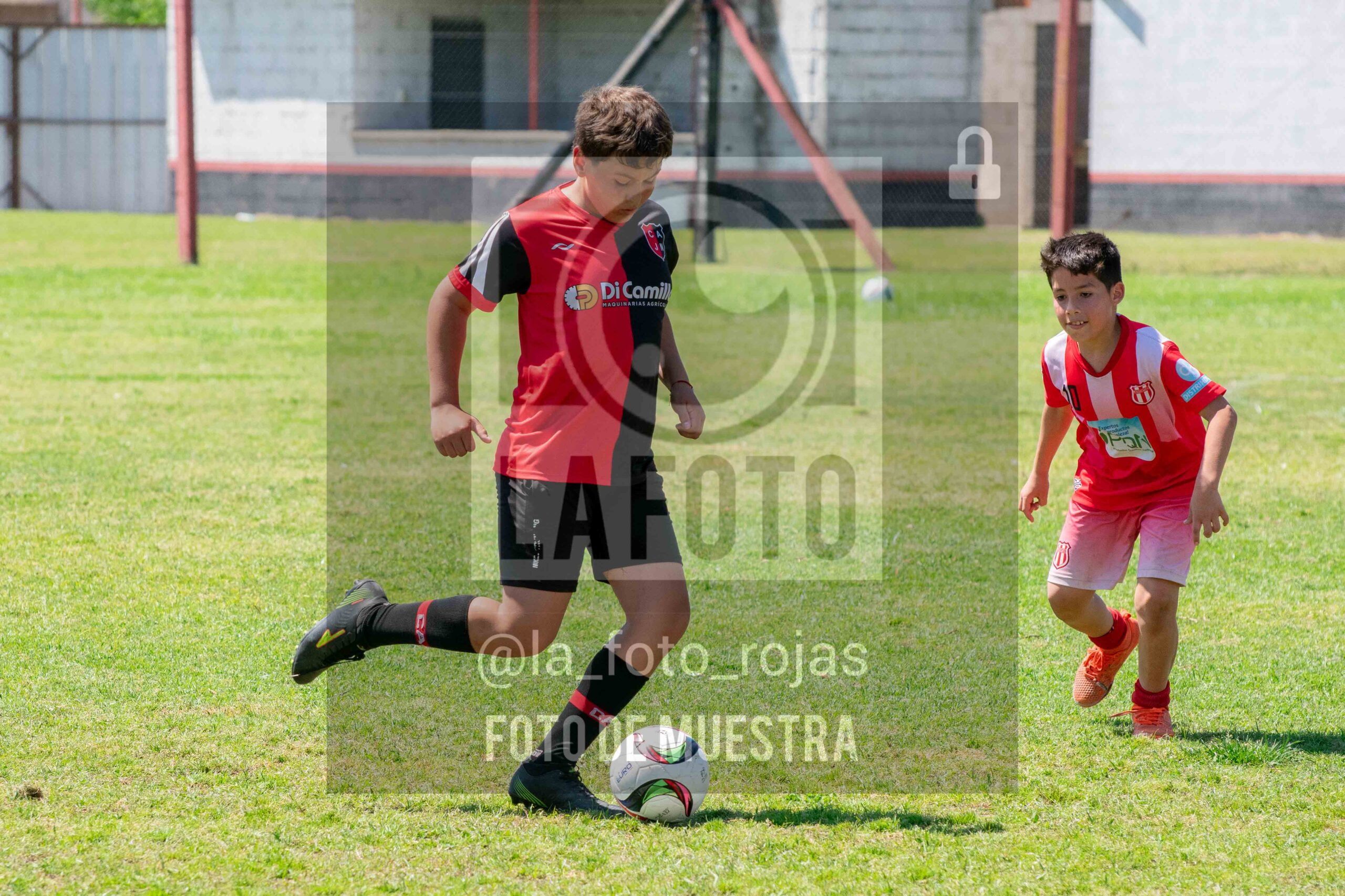 Fotografía 2014-NEW-JUVE-75-scaled de NEWBERY - JUVENTUD / 2014