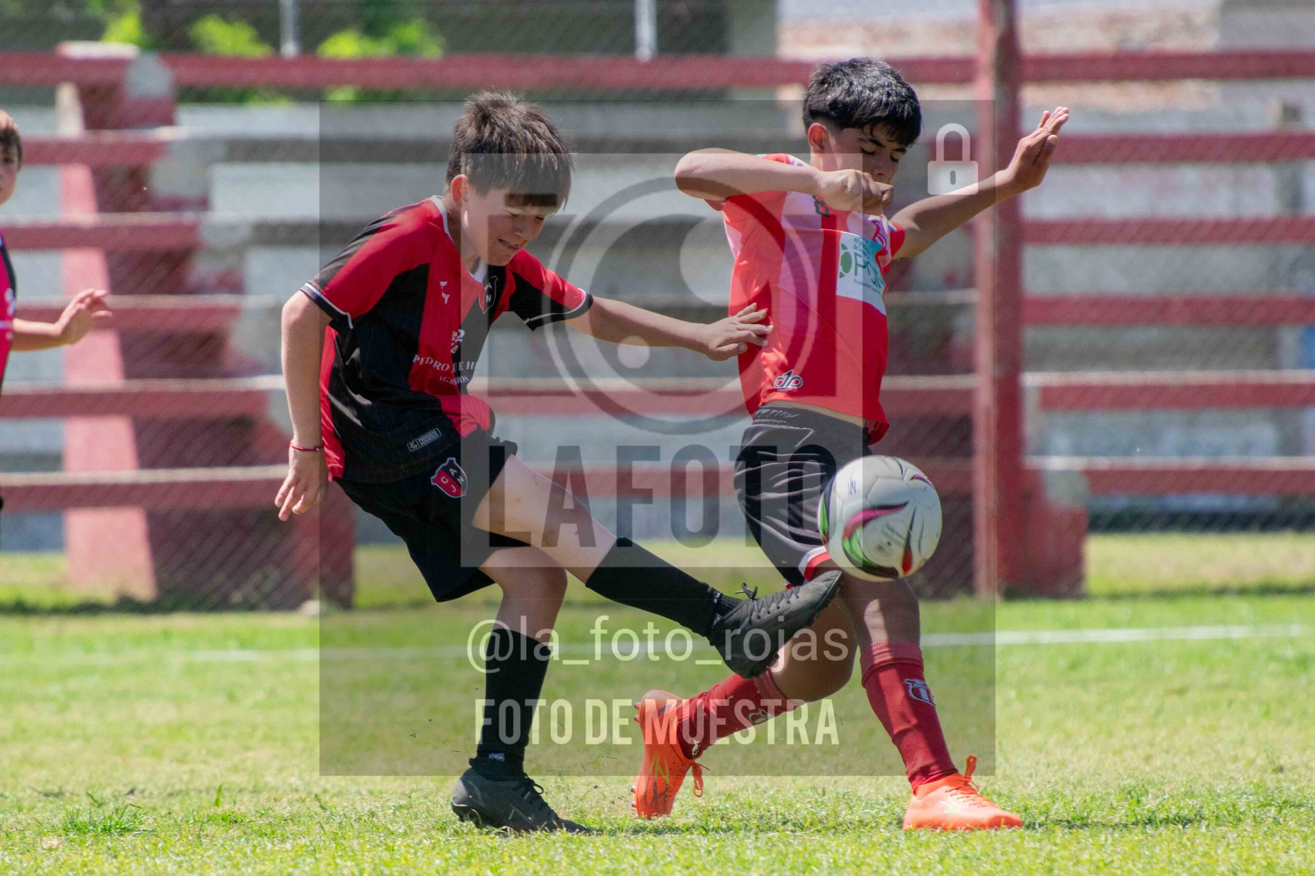 Fotografía 2014-NEW-JUVE-76-scaled de NEWBERY - JUVENTUD / 2014