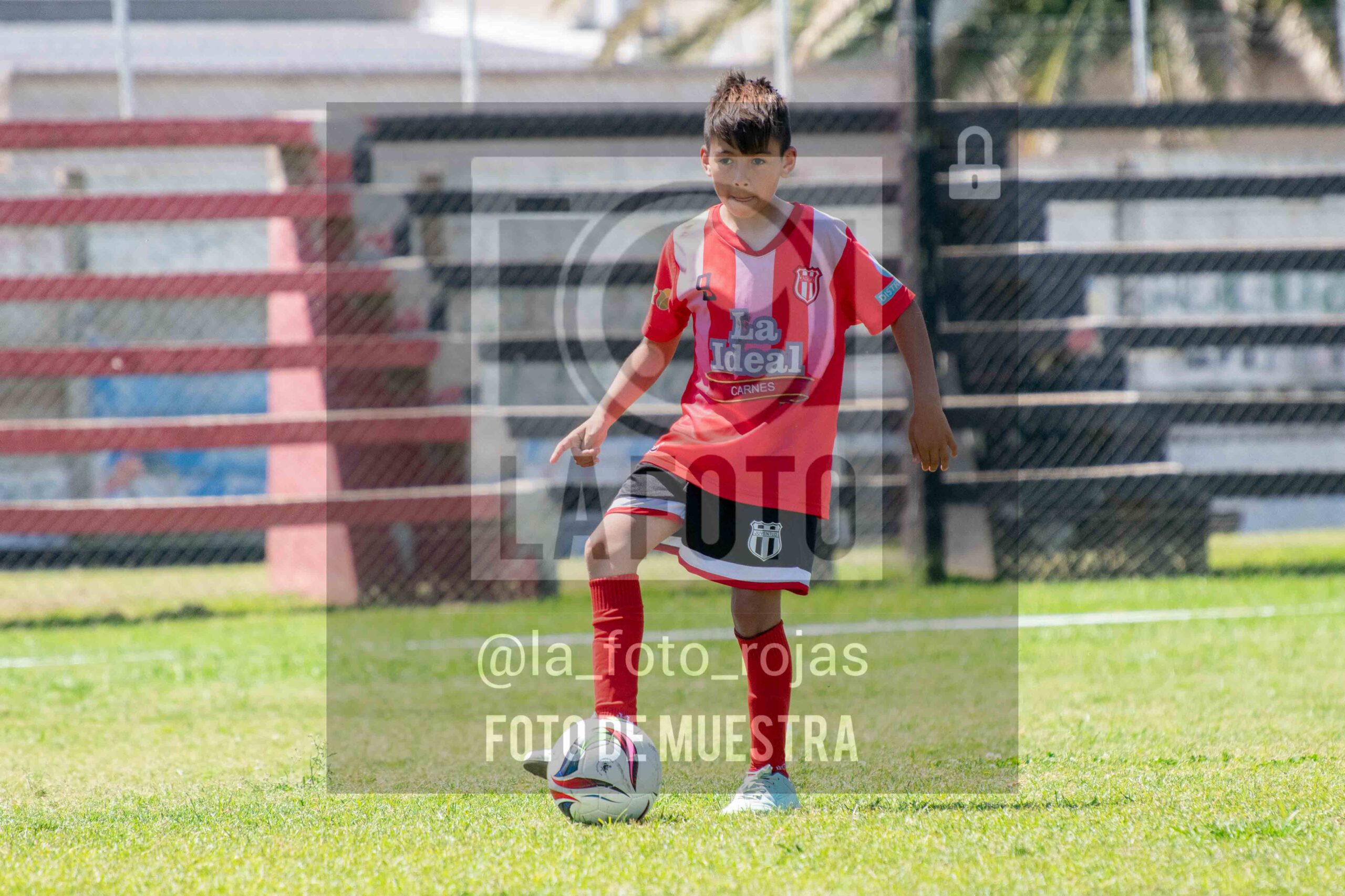 Fotografía 2014-NEW-JUVE-83-scaled de NEWBERY - JUVENTUD / 2014