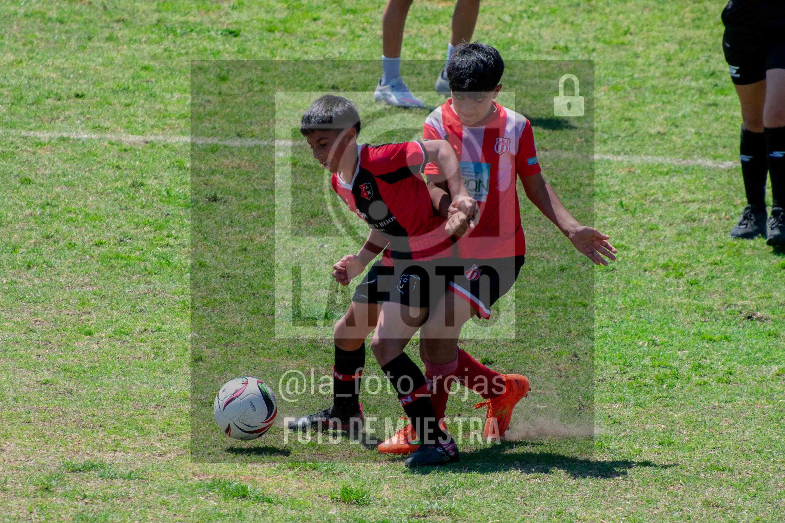 Fotografía 2014-NEW-JUVE-88-1-scaled de NEWBERY - JUVENTUD / 2014