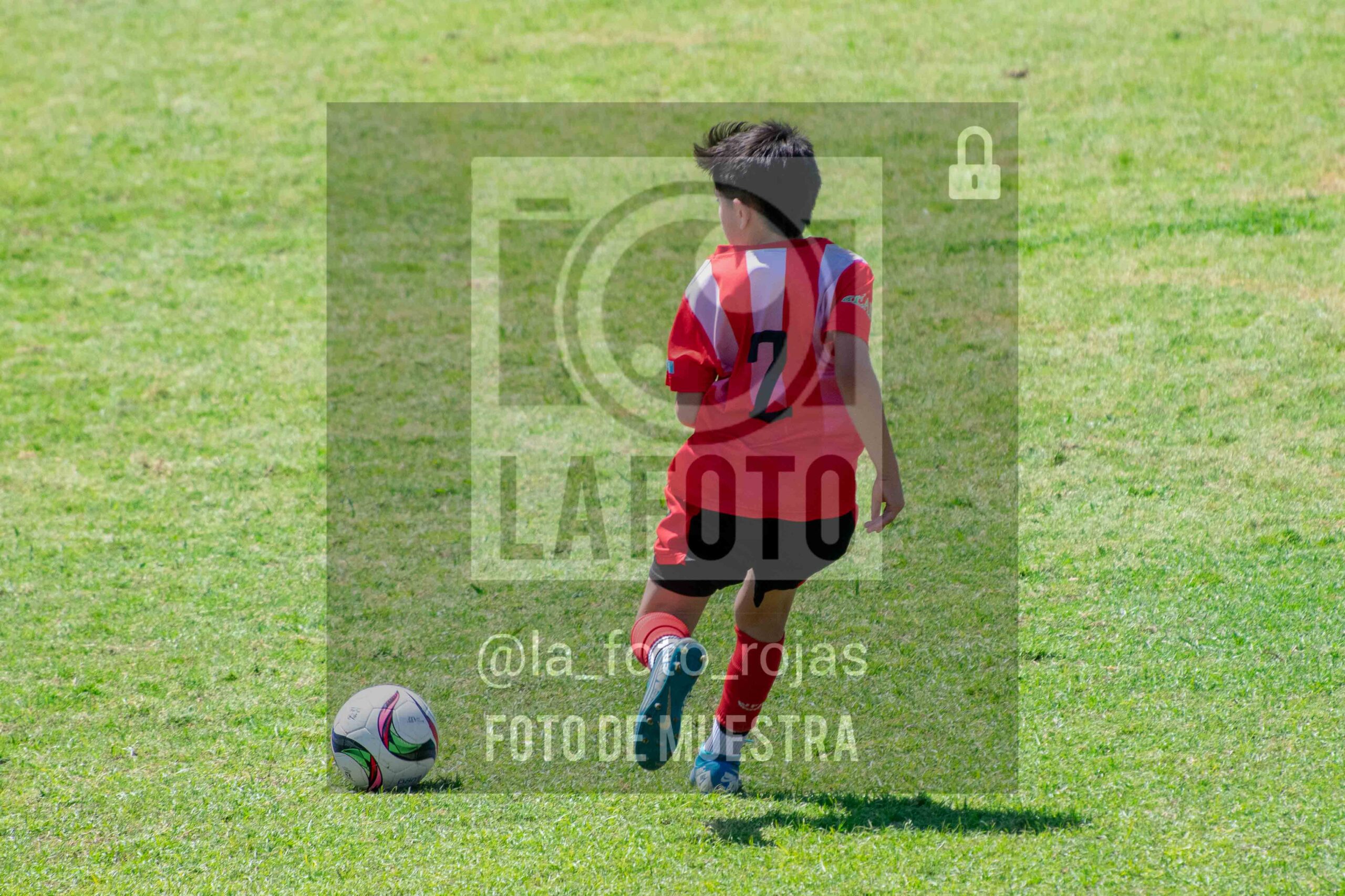 Fotografía 2014-NEW-JUVE-95-scaled de NEWBERY - JUVENTUD / 2014
