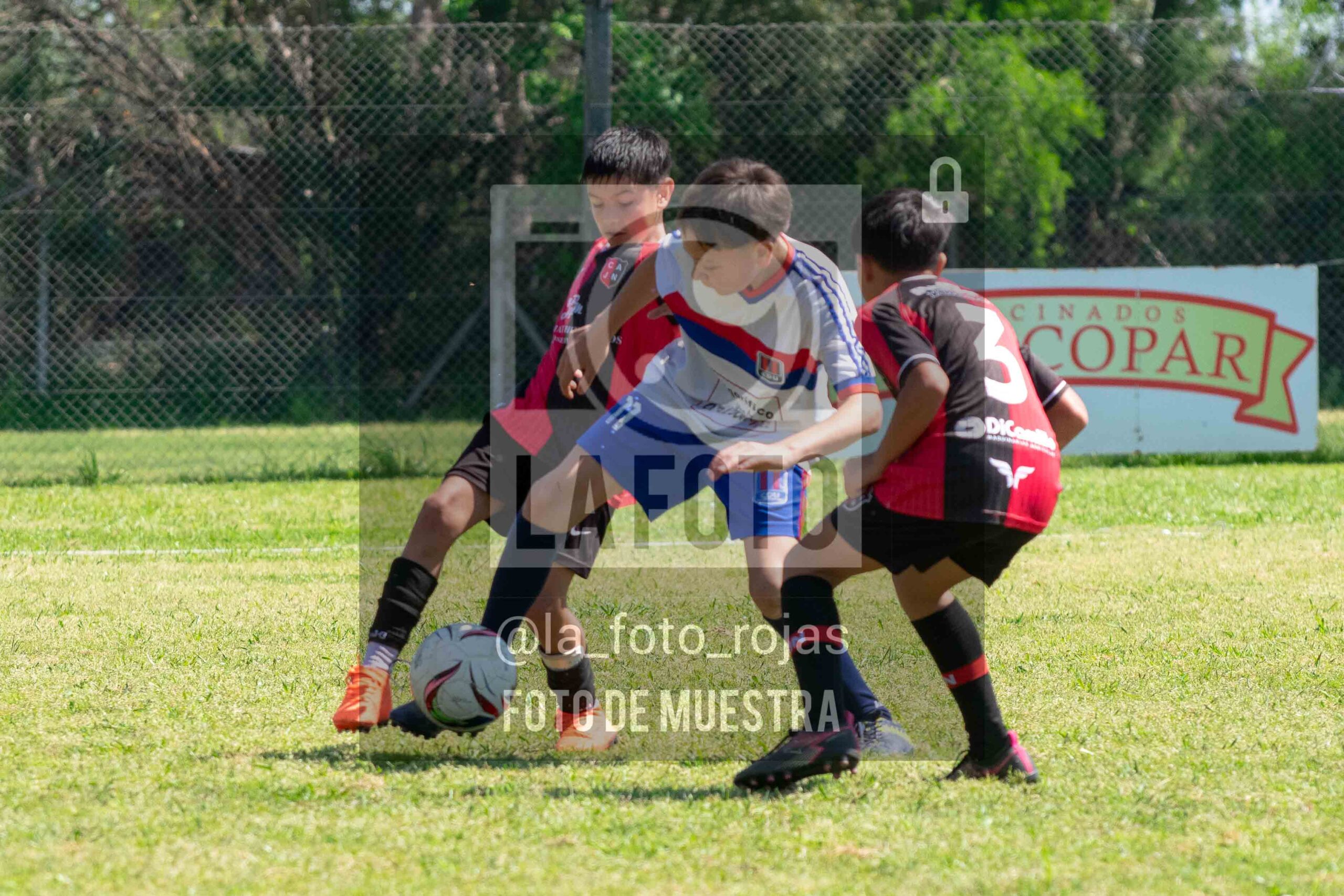 Fotografía 2014-NEWBERY-UNION-10-scaled de NEWBERY - UNION / 2014