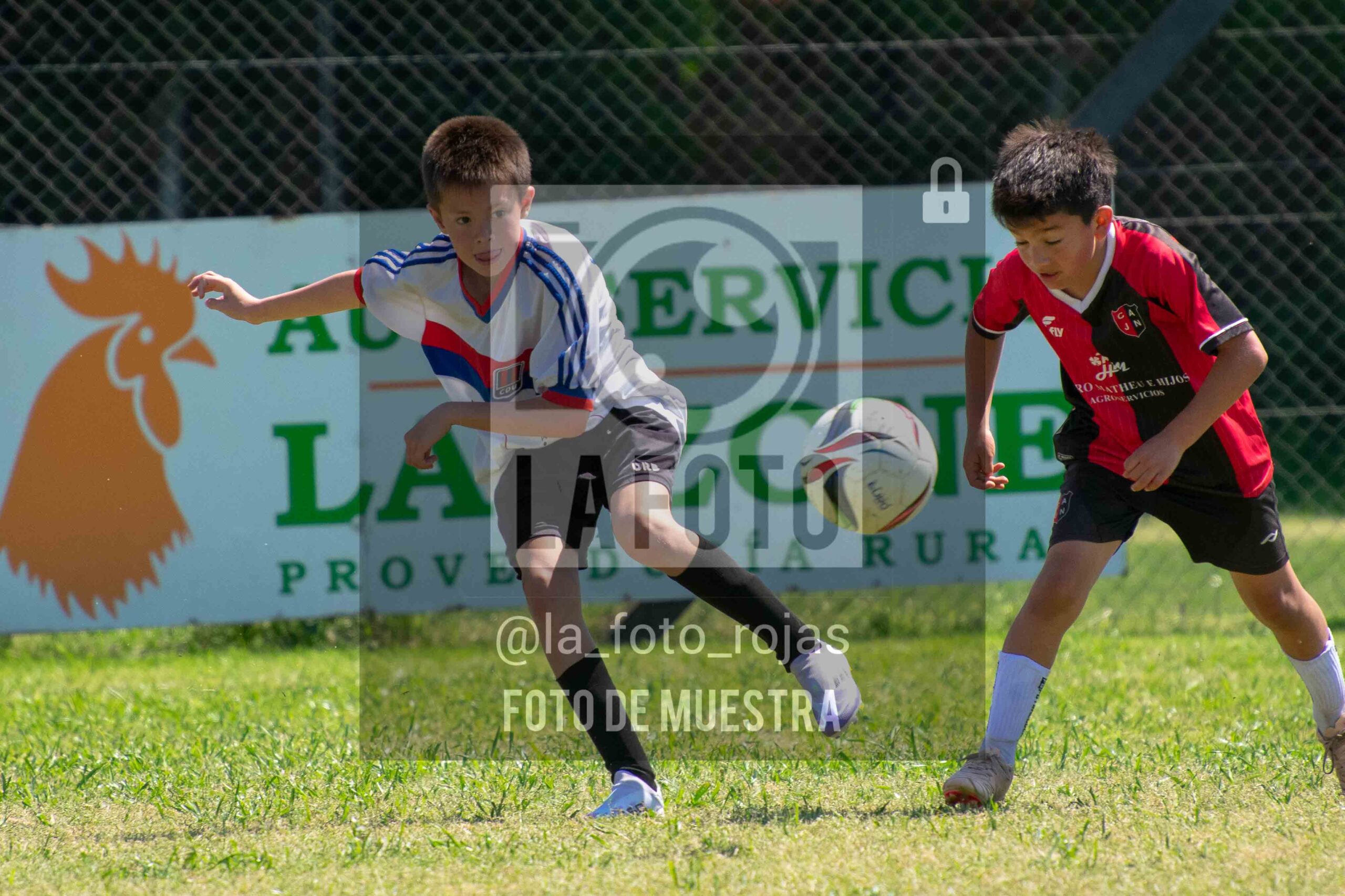 Fotografía 2014-NEWBERY-UNION-117-scaled de NEWBERY - UNION / 2014