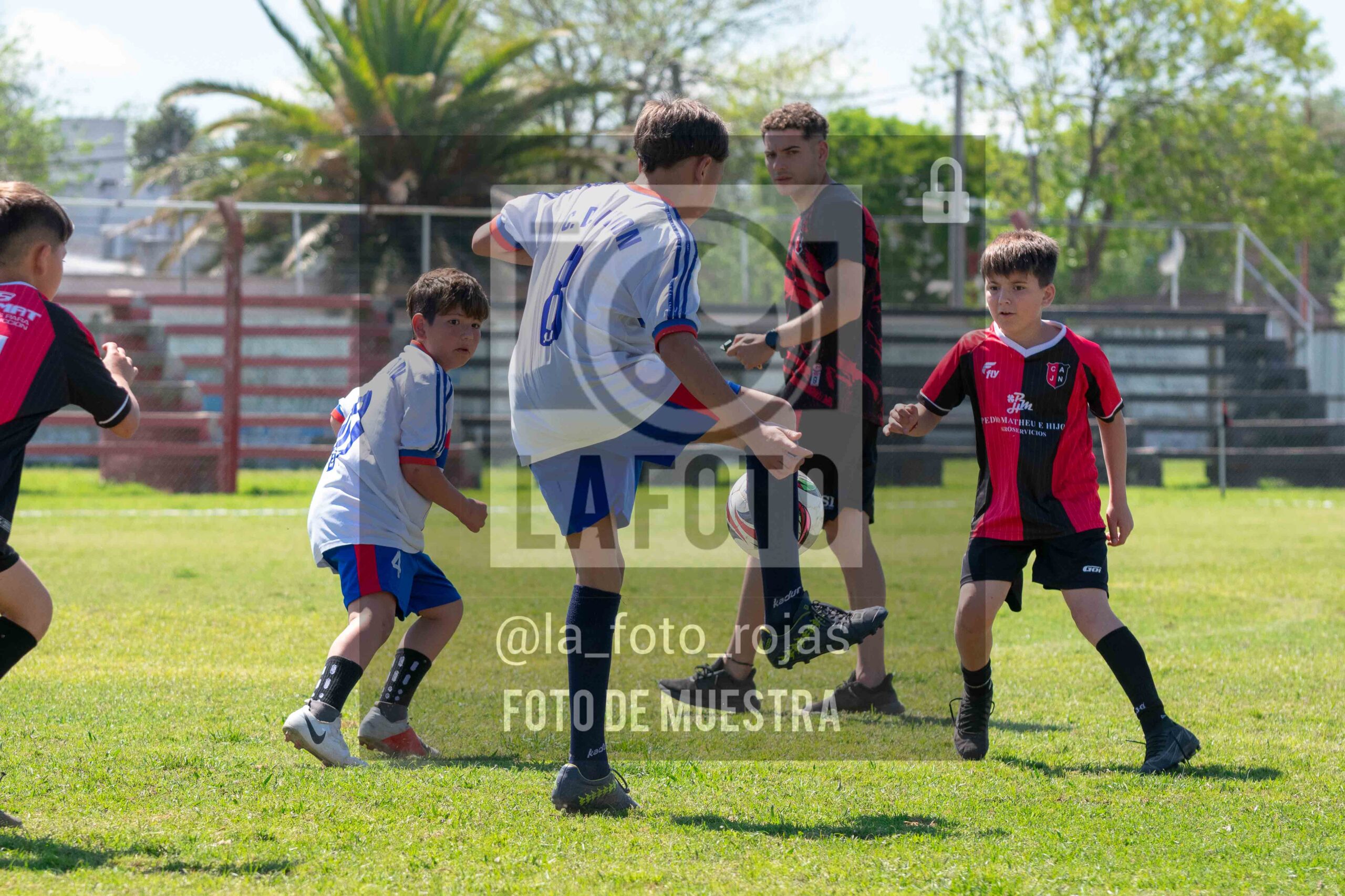Fotografía 2014-NEWBERY-UNION-26-scaled de NEWBERY - UNION / 2014