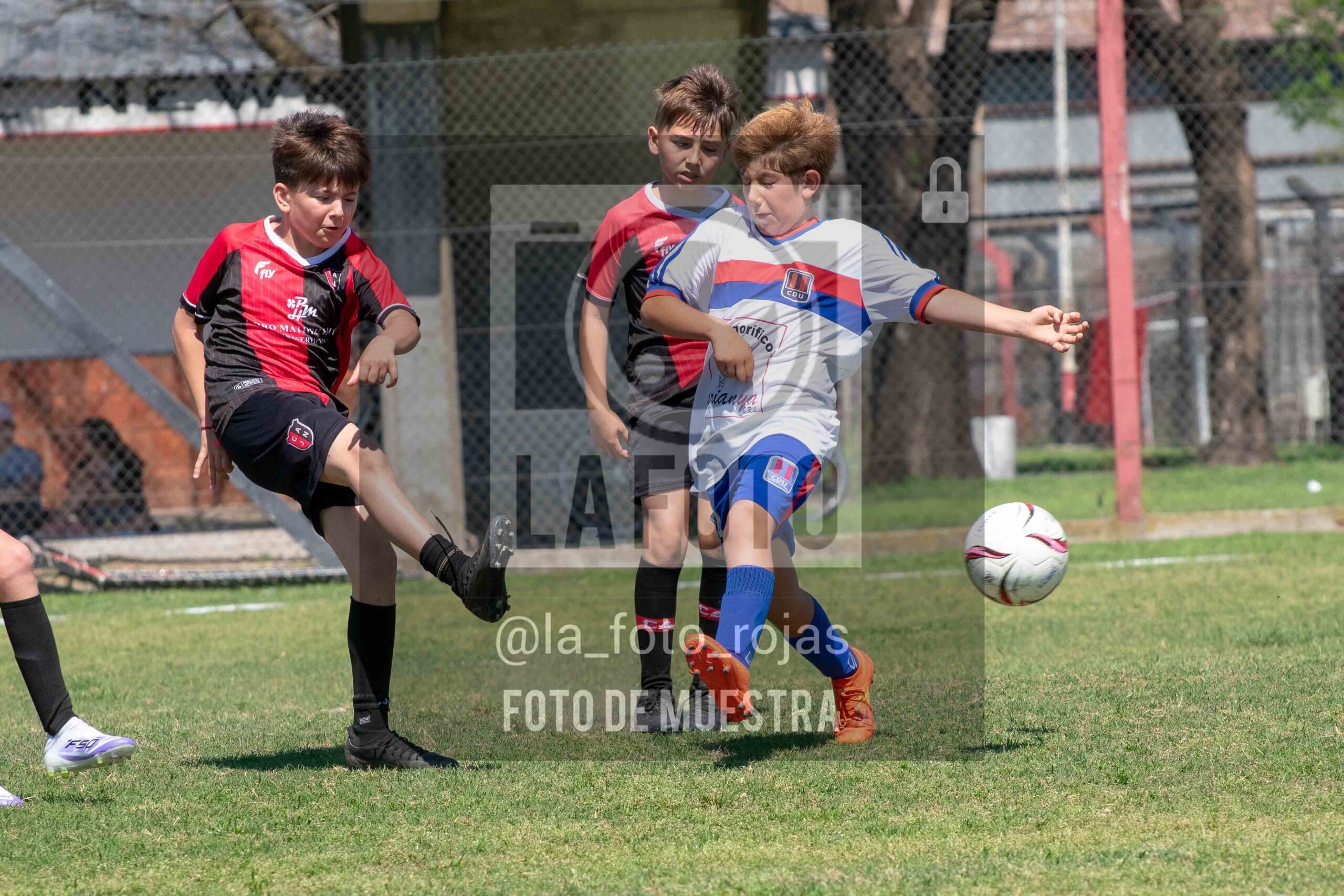 Fotografía 2014-NEWBERY-UNION-51-scaled de NEWBERY - UNION / 2014