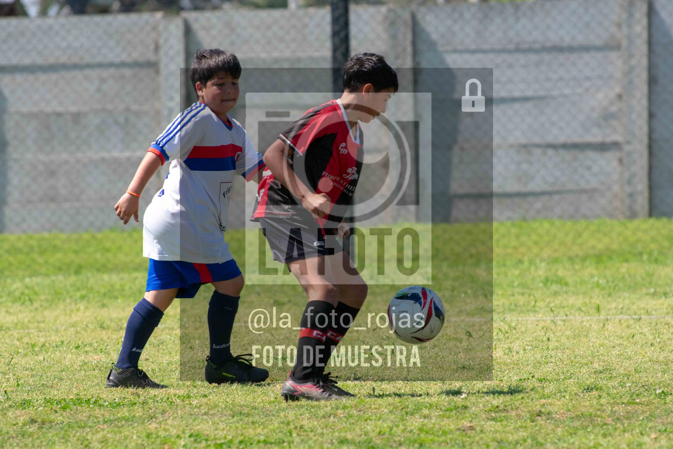 Fotografía 2014-NEWBERY-UNION-66-scaled de NEWBERY - UNION / 2014