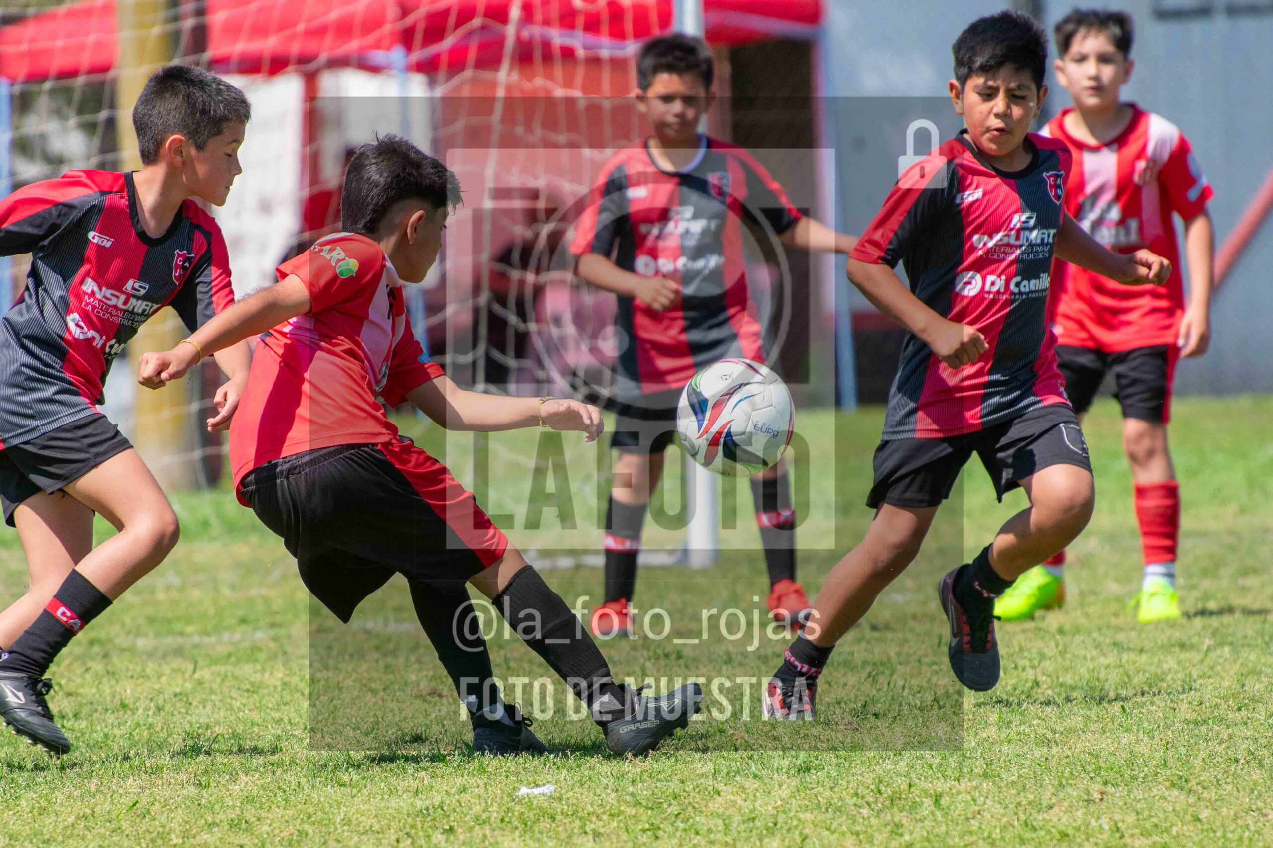 Fotografía 2015-NEW-JUVE-103-scaled de NEWBERY - JUVENTUD / 2015