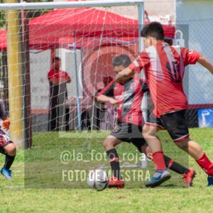 Fotografía 2015-NEW-JUVE-106-scaled de NEWBERY - JUVENTUD / 2015