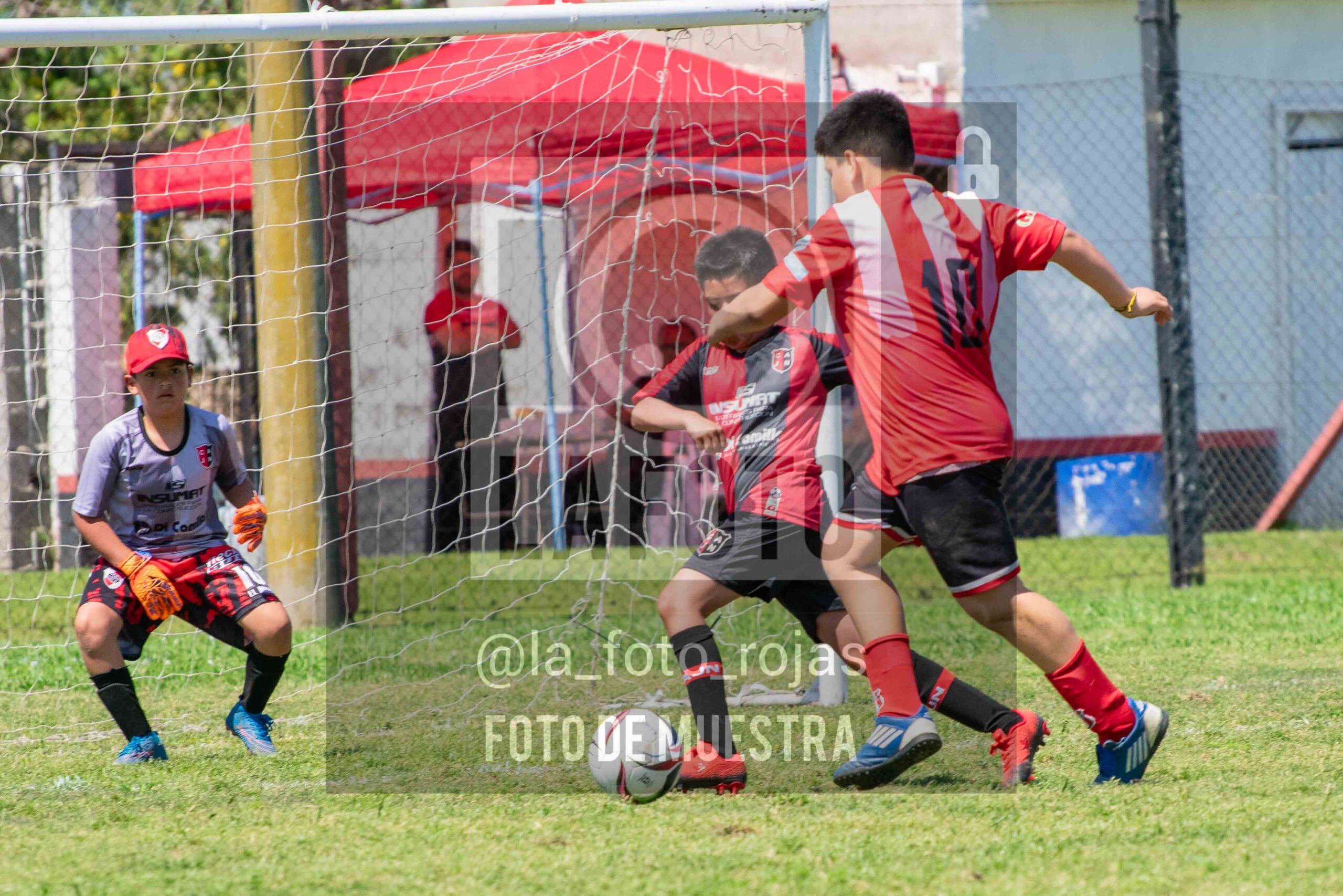 Fotografía 2015-NEW-JUVE-106-scaled de NEWBERY - JUVENTUD / 2015