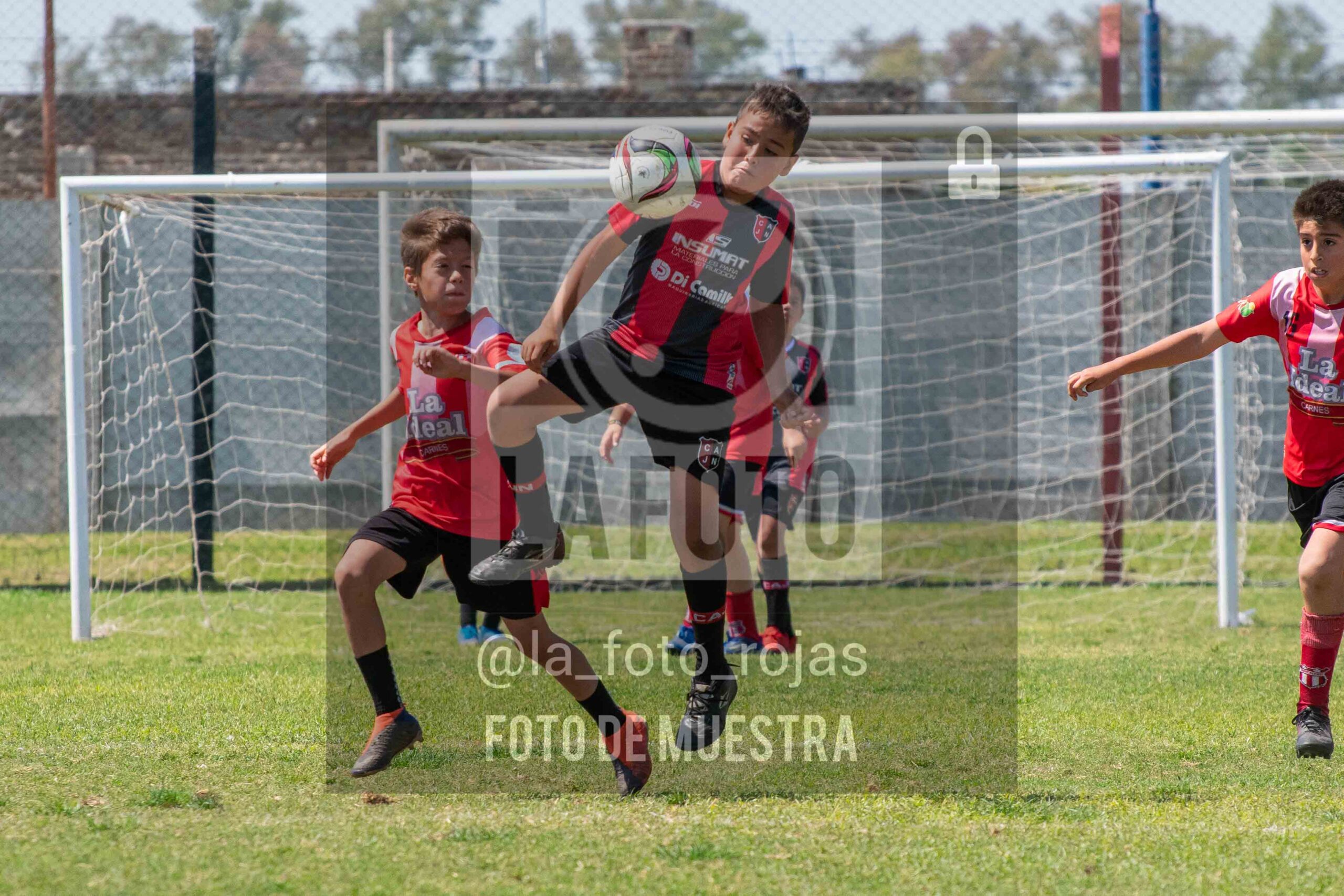 Fotografía 2015-NEW-JUVE-108-scaled de NEWBERY - JUVENTUD / 2015
