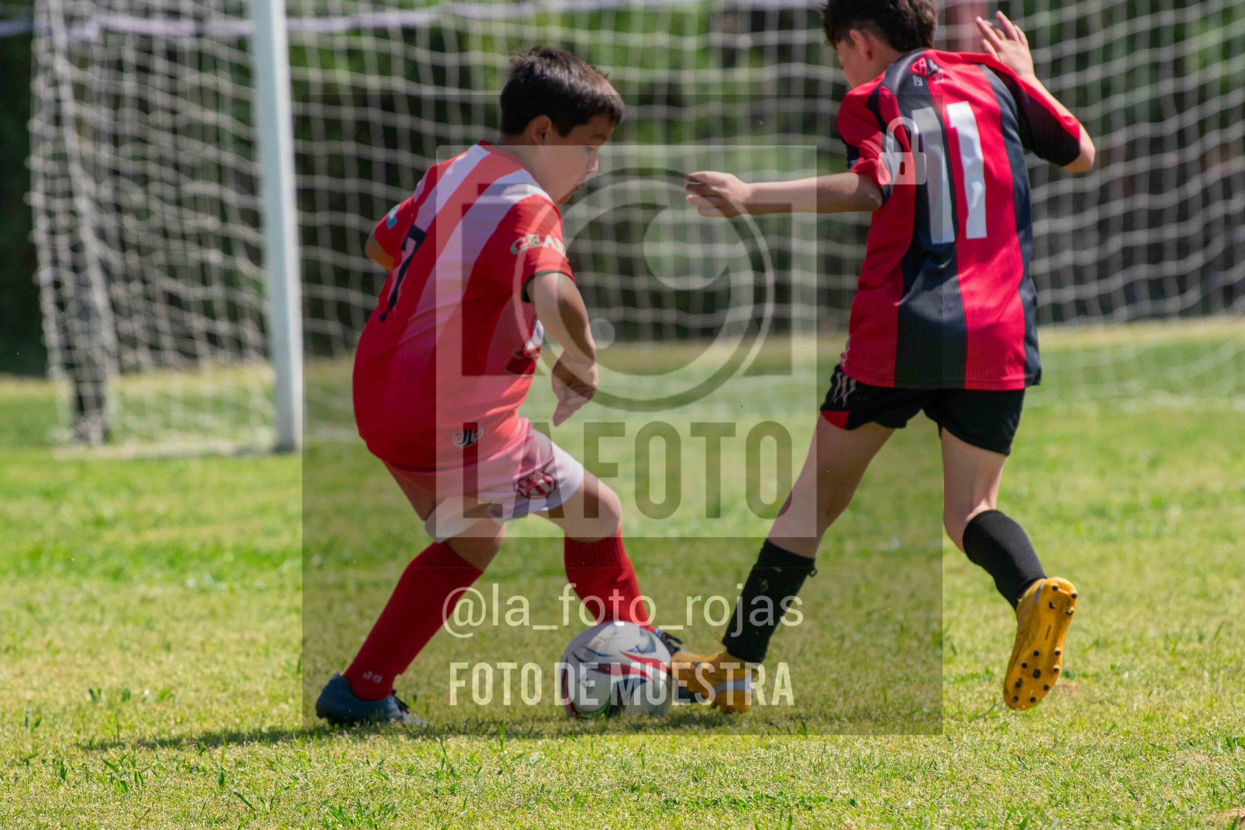 Fotografía 2015-NEW-JUVE-11-scaled de NEWBERY - JUVENTUD / 2015