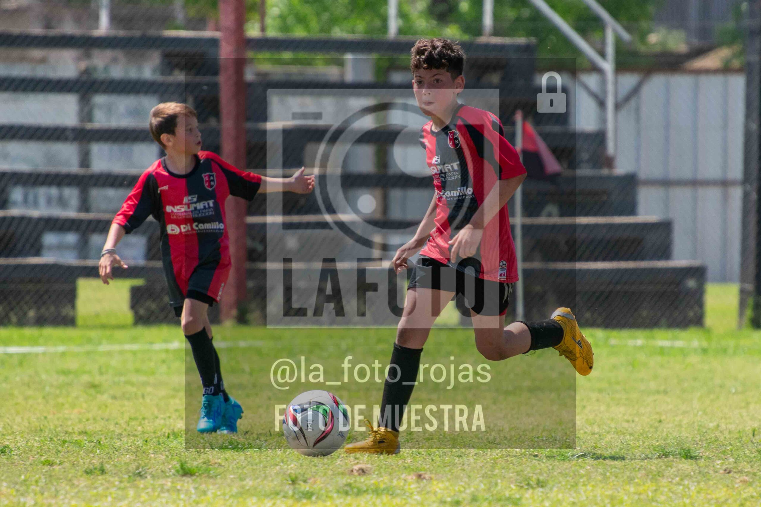 Fotografía 2015-NEW-JUVE-113-scaled de NEWBERY - JUVENTUD / 2015