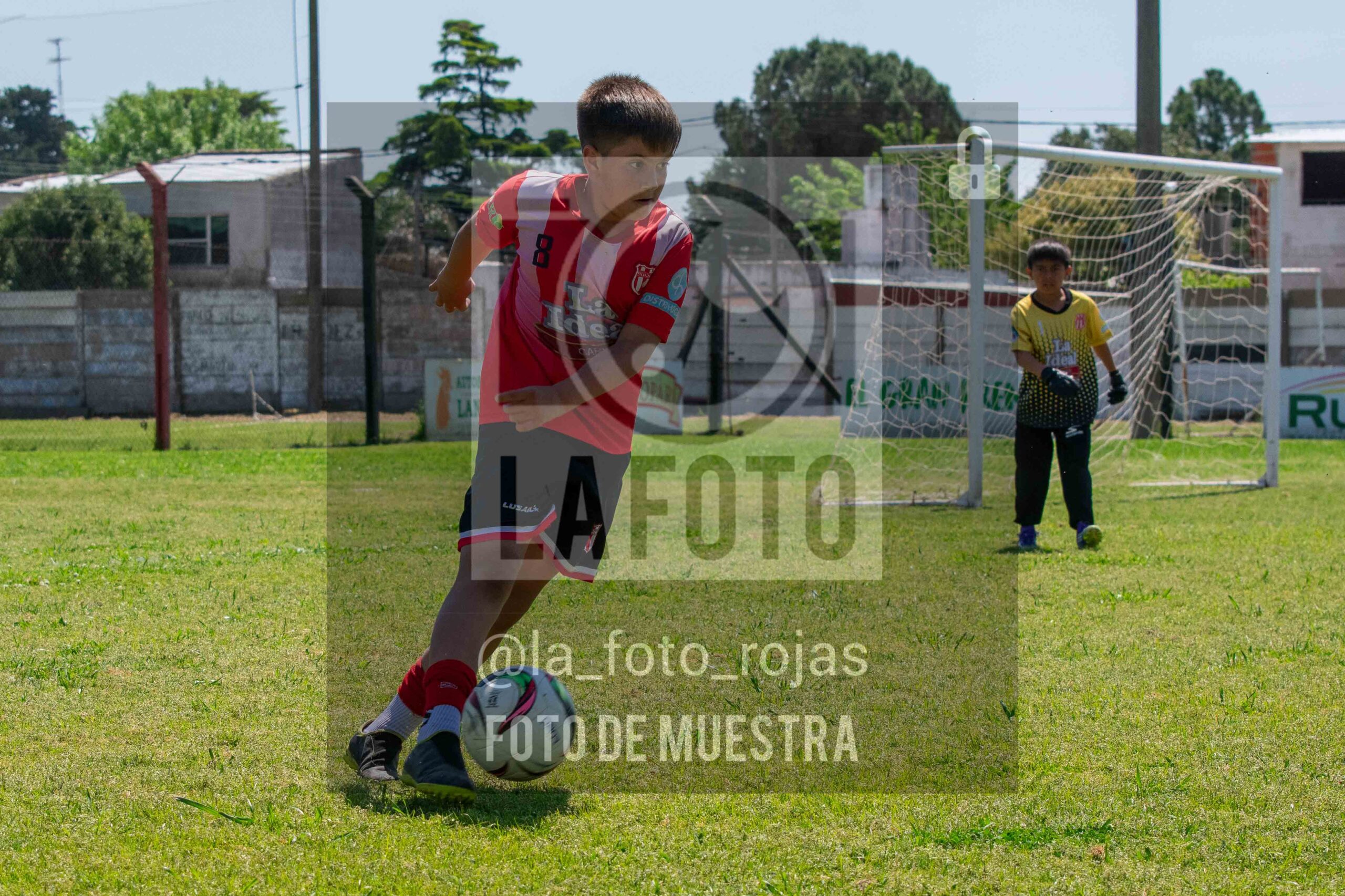 Fotografía 2015-NEW-JUVE-114-scaled de NEWBERY - JUVENTUD / 2015