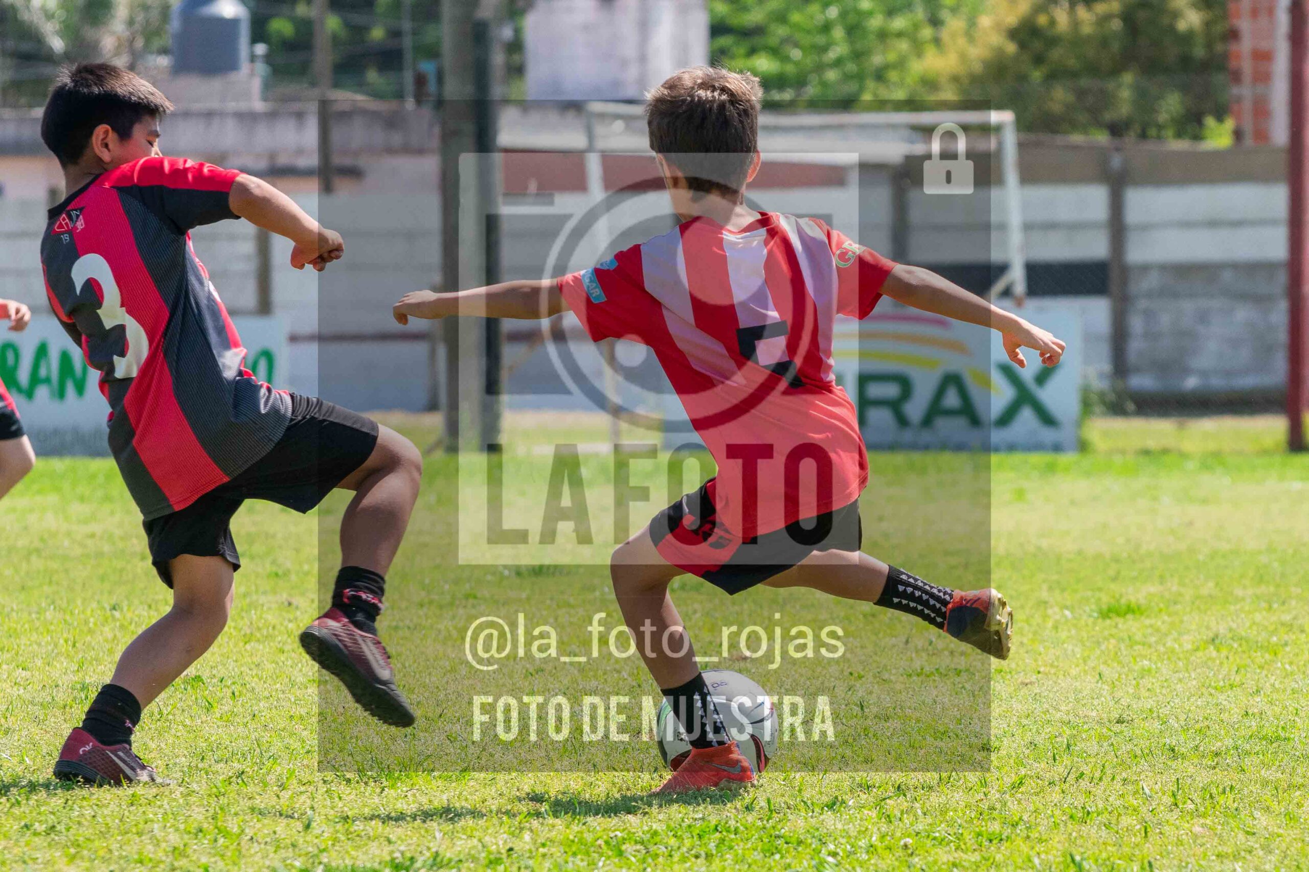 Fotografía 2015-NEW-JUVE-13-scaled de NEWBERY - JUVENTUD / 2015