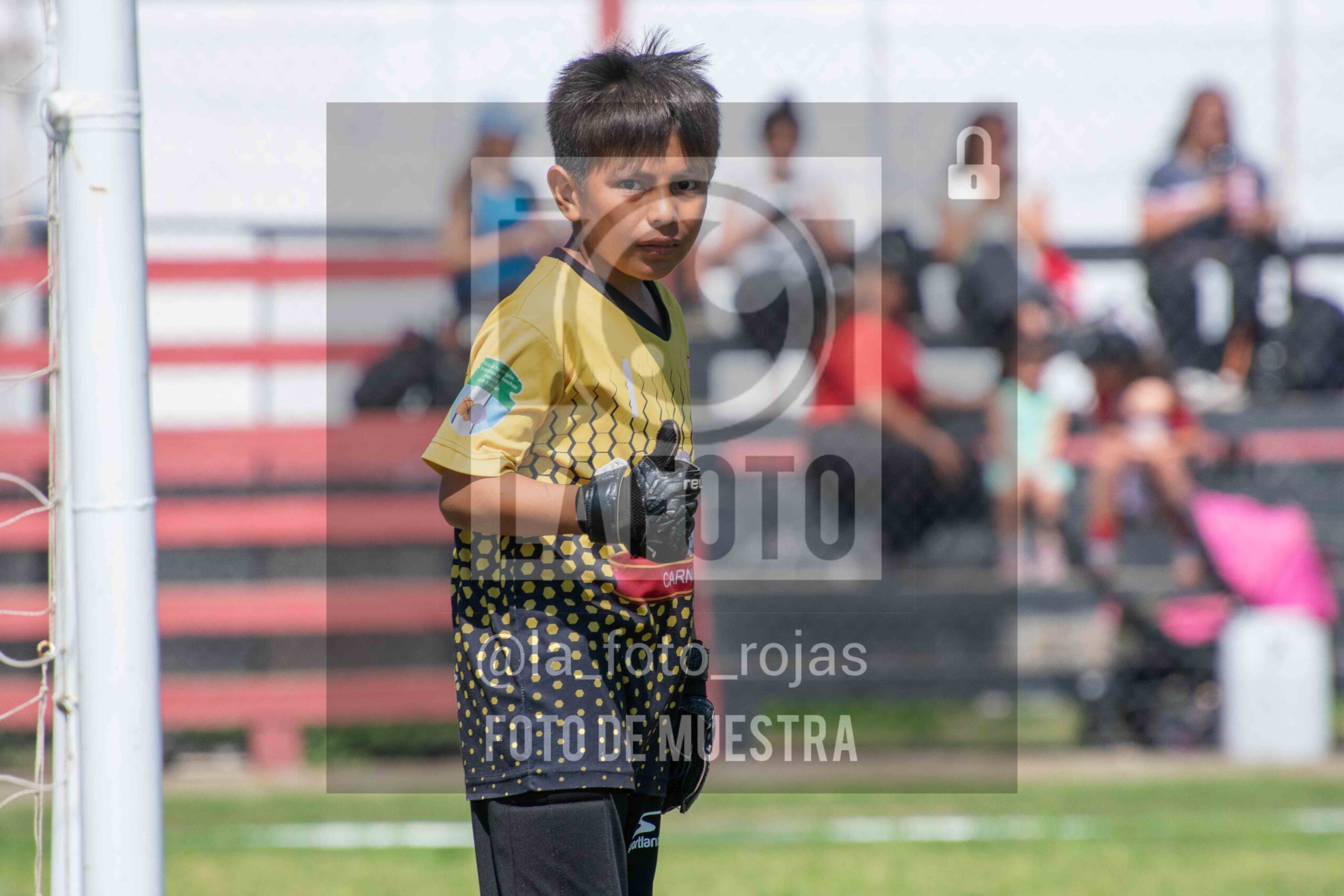 Fotografía 2015-NEW-JUVE-18-scaled de NEWBERY - JUVENTUD / 2015