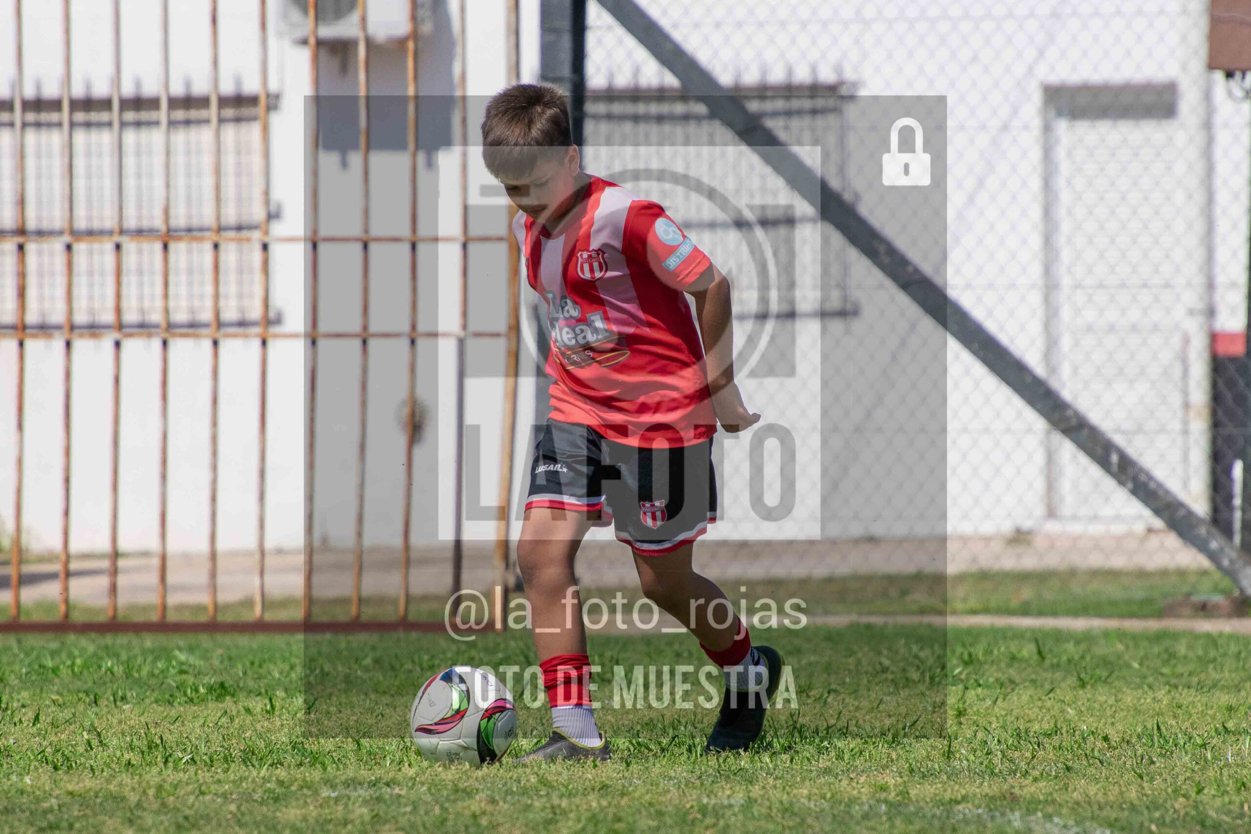 Fotografía 2015-NEW-JUVE-19-scaled de NEWBERY - JUVENTUD / 2015