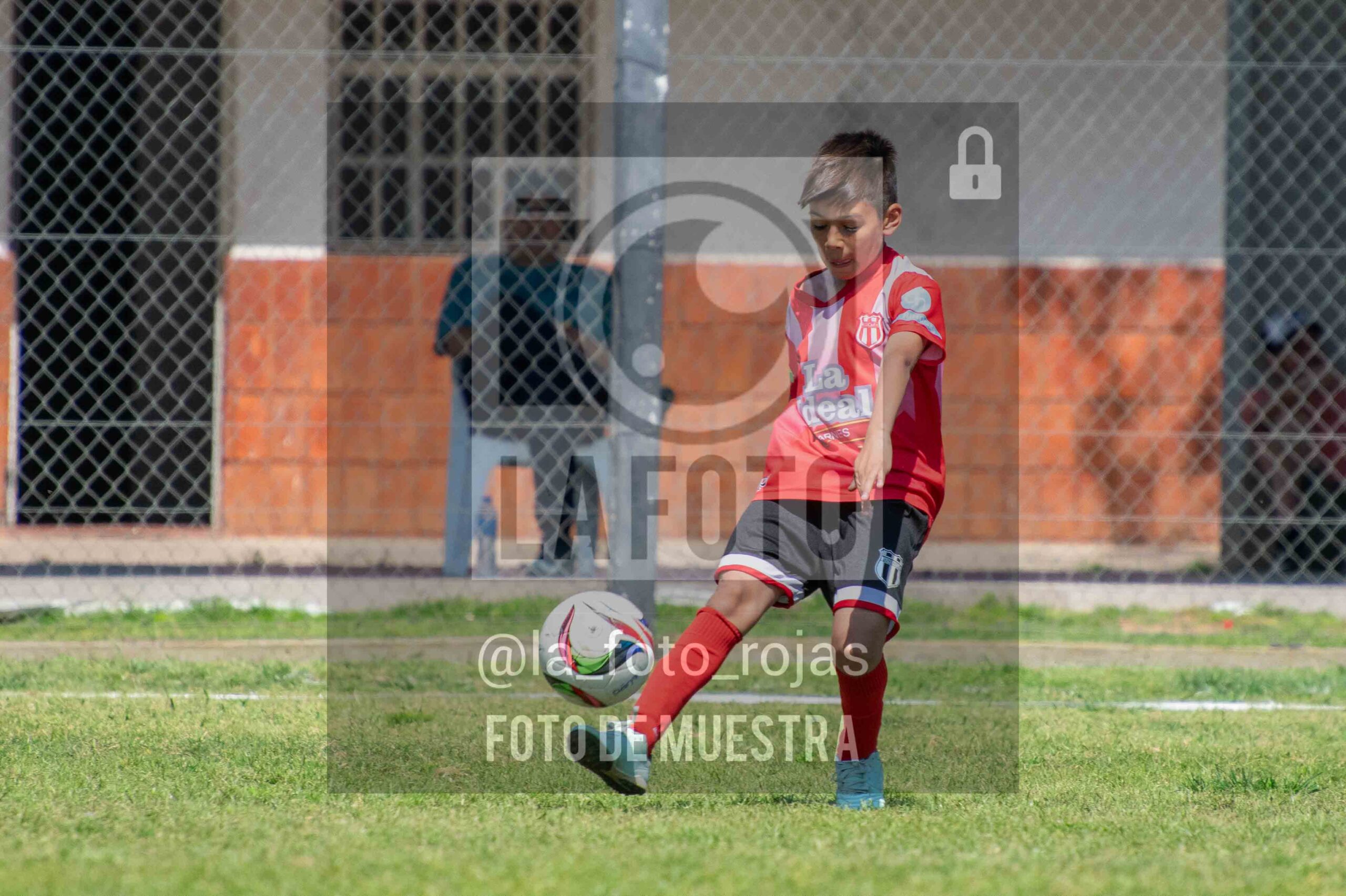 Fotografía 2015-NEW-JUVE-21-scaled de NEWBERY - JUVENTUD / 2015