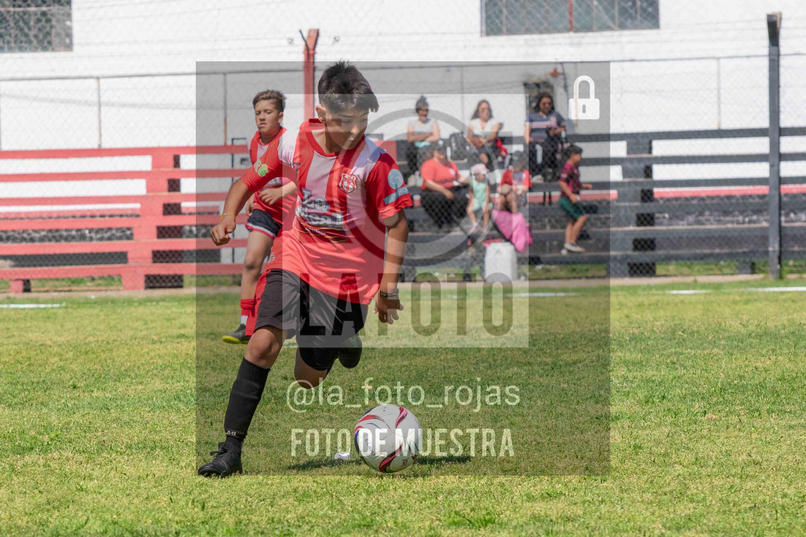 Fotografía 2015-NEW-JUVE-22-scaled de NEWBERY - JUVENTUD / 2015
