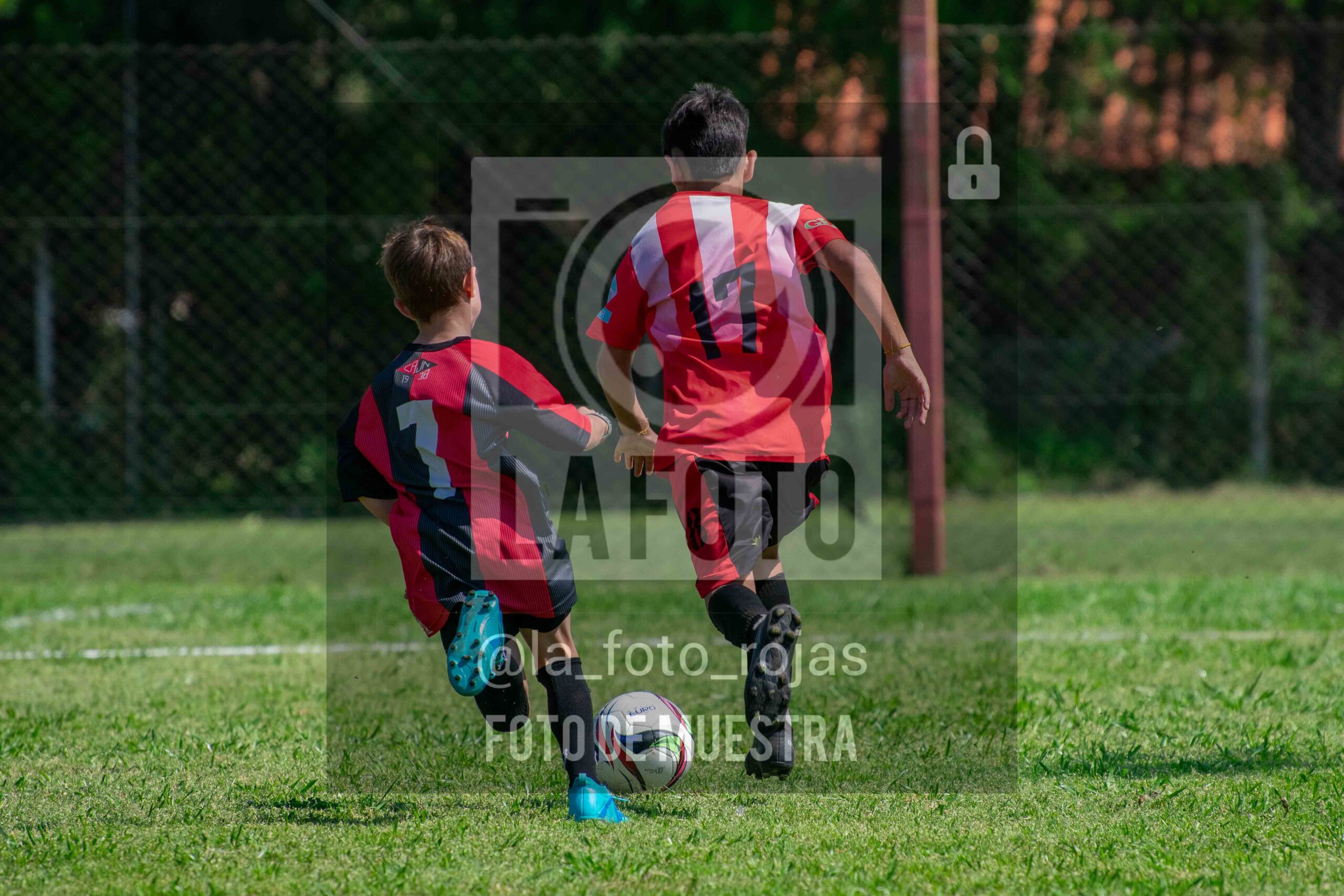 Fotografía 2015-NEW-JUVE-23-scaled de NEWBERY - JUVENTUD / 2015