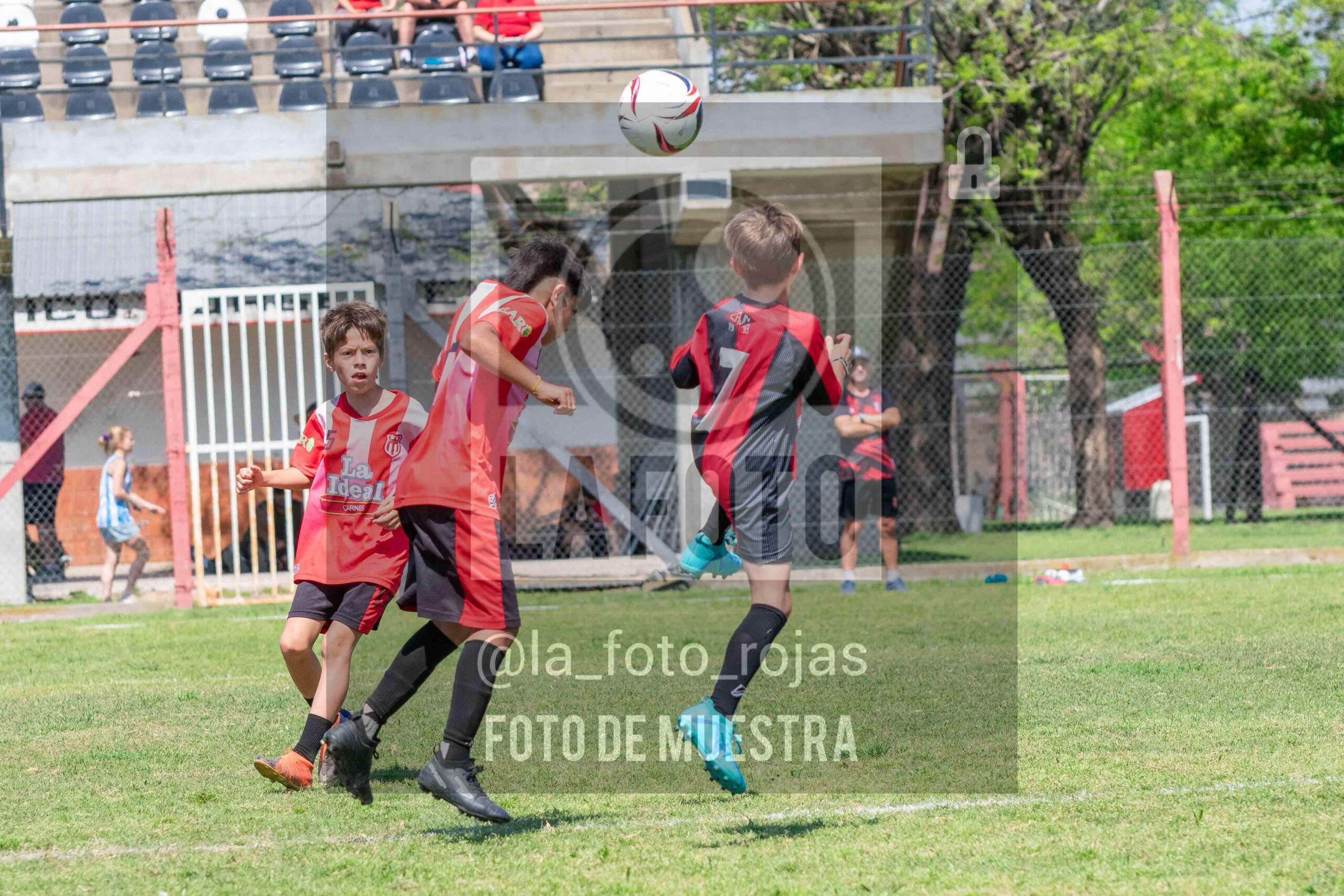 Fotografía 2015-NEW-JUVE-25-scaled de NEWBERY - JUVENTUD / 2015