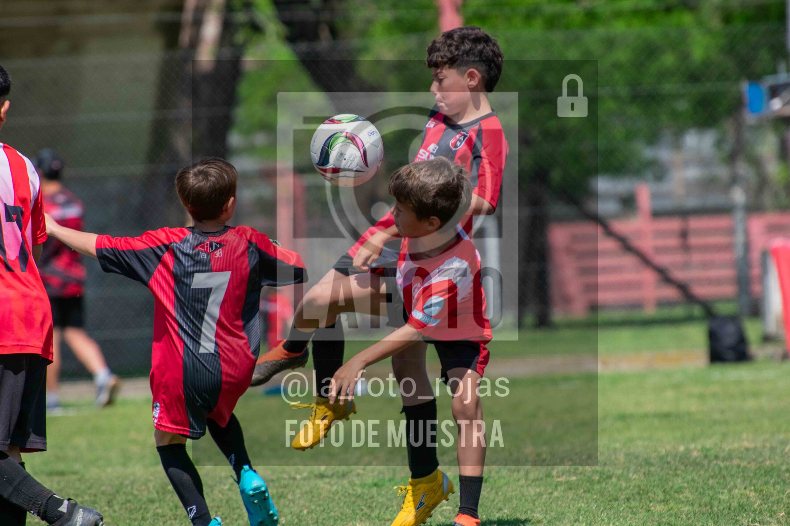 Fotografía 2015-NEW-JUVE-28-1-scaled de NEWBERY - JUVENTUD / 2015
