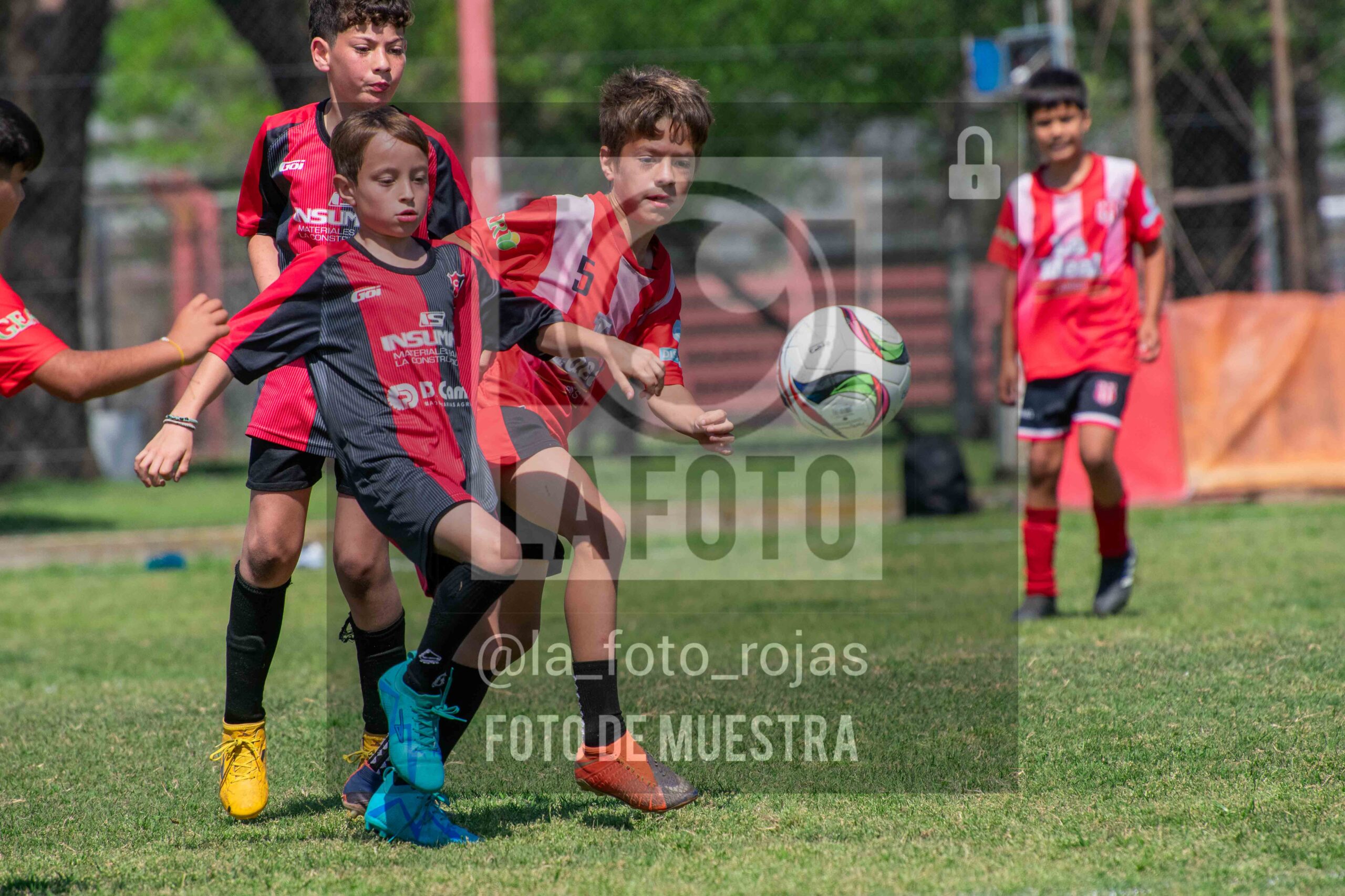 Fotografía 2015-NEW-JUVE-29-scaled de NEWBERY - JUVENTUD / 2015