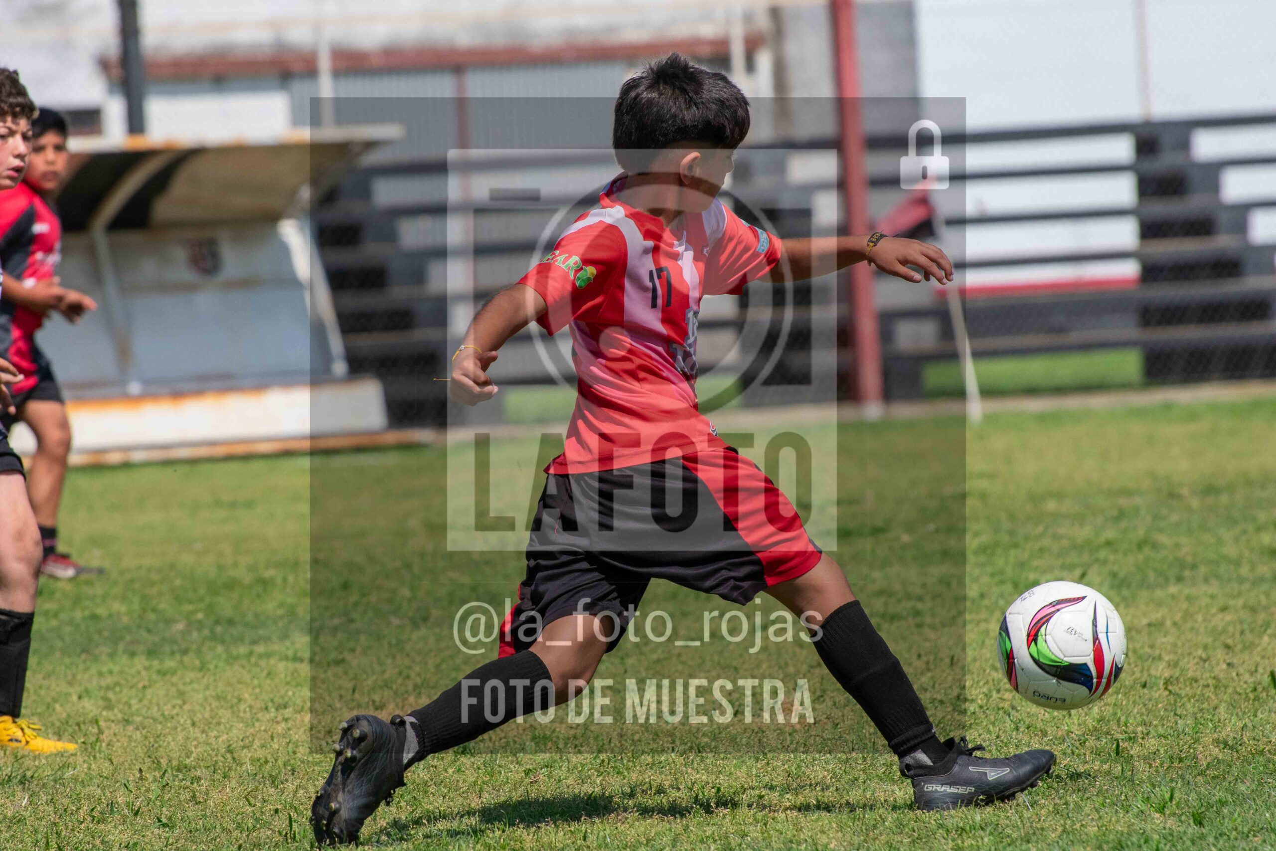 Fotografía 2015-NEW-JUVE-30-scaled de NEWBERY - JUVENTUD / 2015