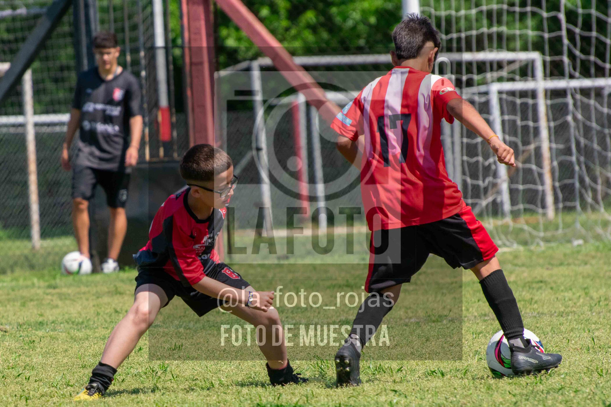 Fotografía 2015-NEW-JUVE-31-scaled de NEWBERY - JUVENTUD / 2015