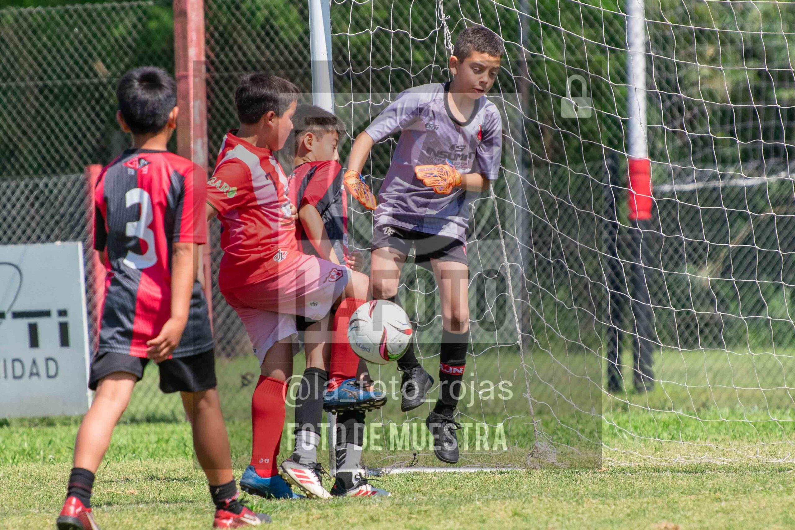 Fotografía 2015-NEW-JUVE-32-scaled de NEWBERY - JUVENTUD / 2015