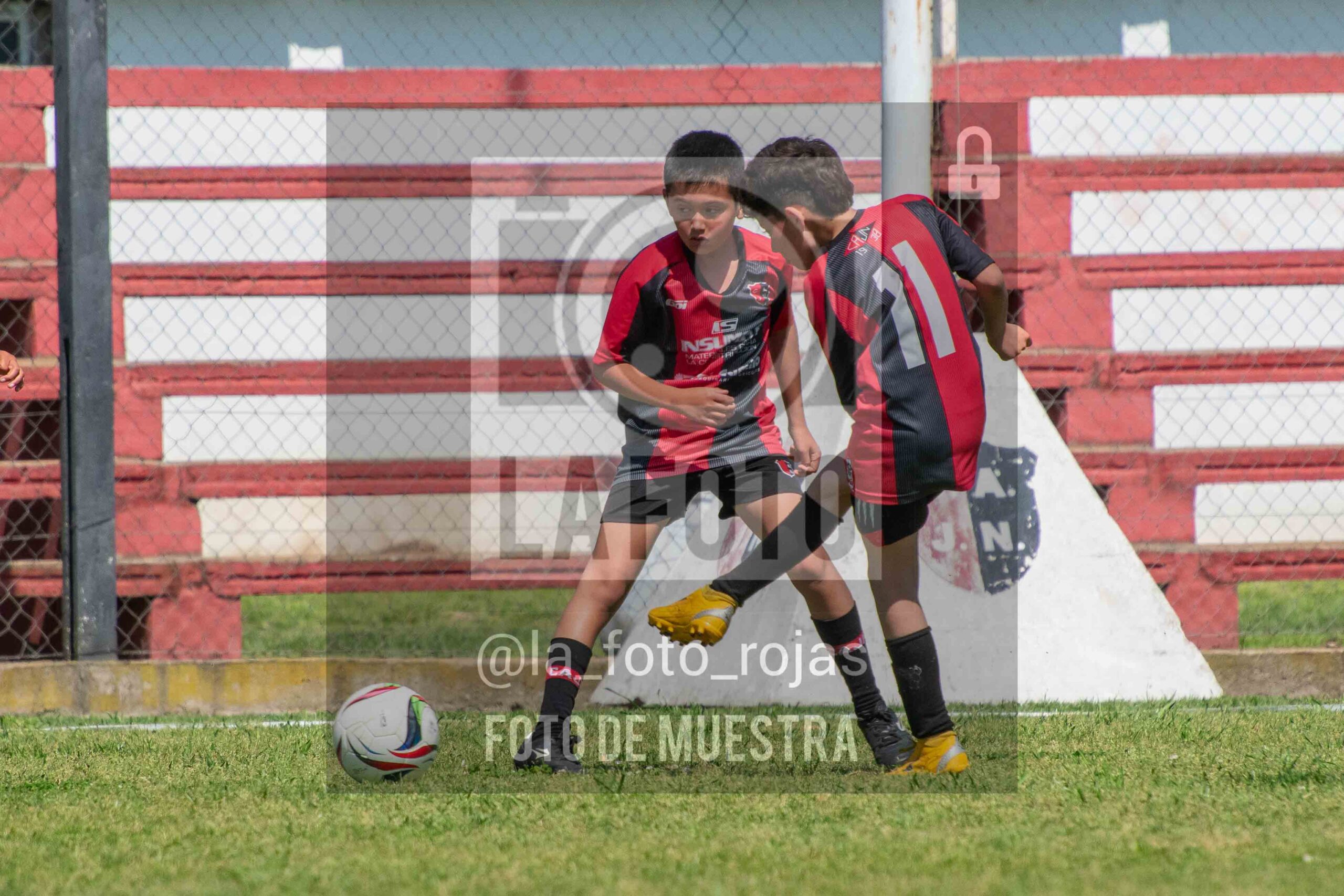 Fotografía 2015-NEW-JUVE-33-scaled de NEWBERY - JUVENTUD / 2015