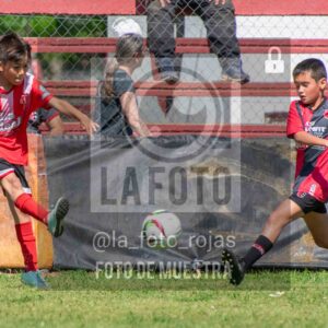 Fotografía 2015-NEW-JUVE-34-scaled de NEWBERY - JUVENTUD / 2015