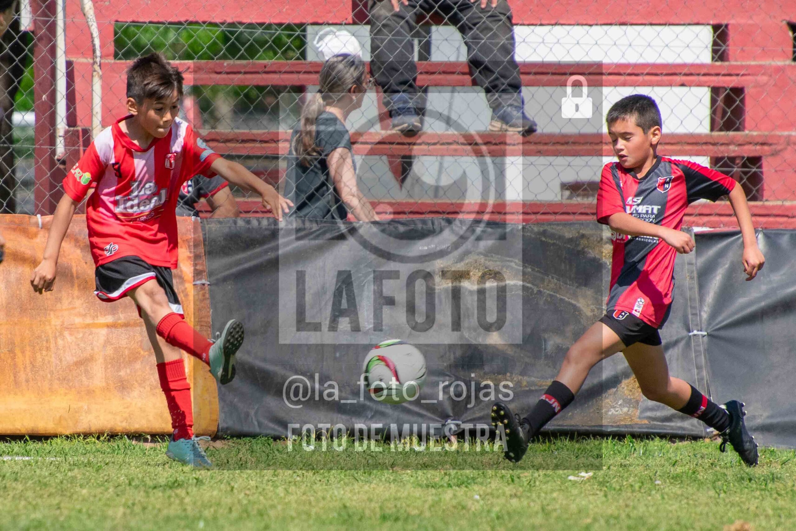 Fotografía 2015-NEW-JUVE-34-scaled de NEWBERY - JUVENTUD / 2015