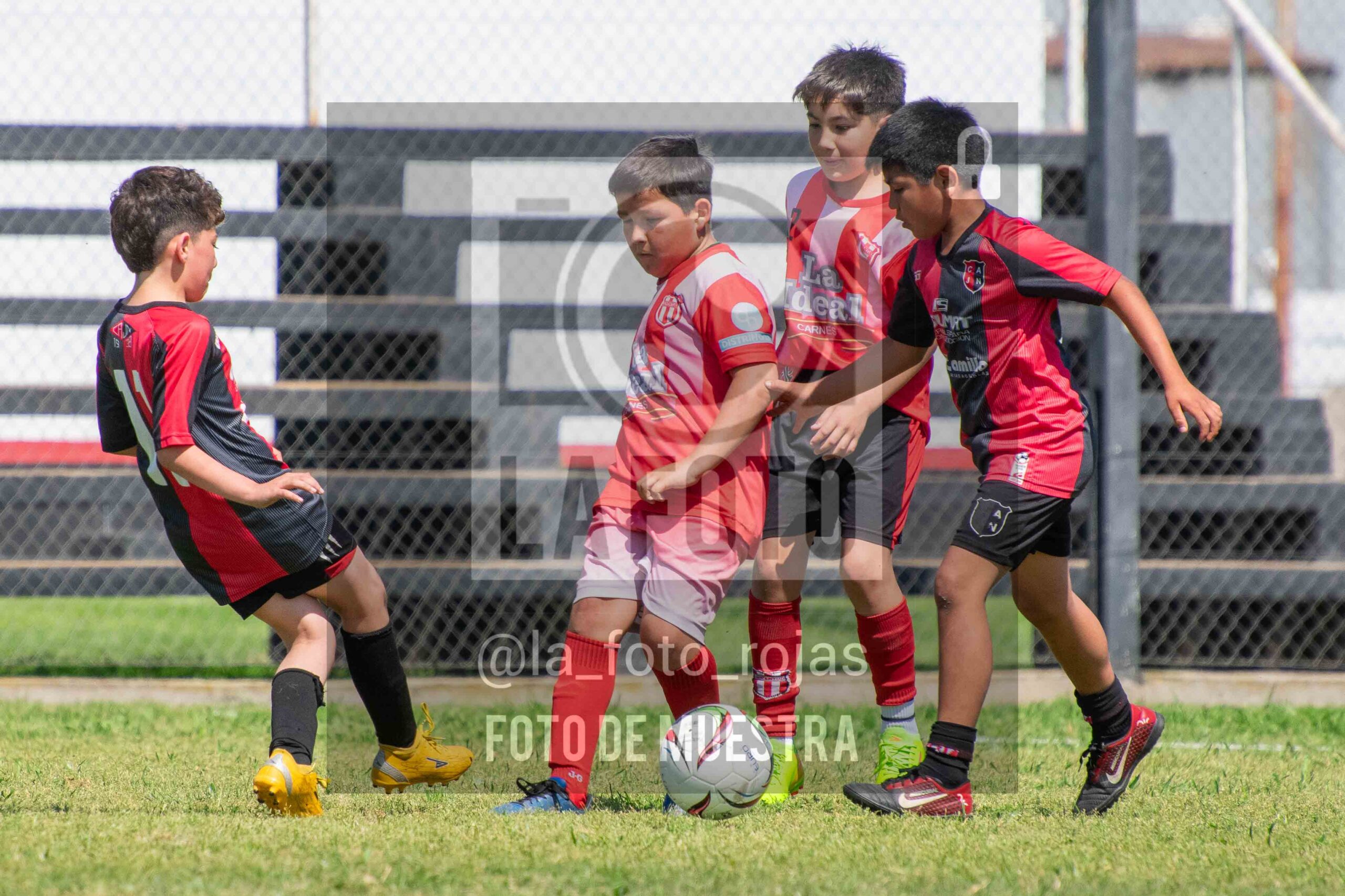 Fotografía 2015-NEW-JUVE-35-scaled de NEWBERY - JUVENTUD / 2015