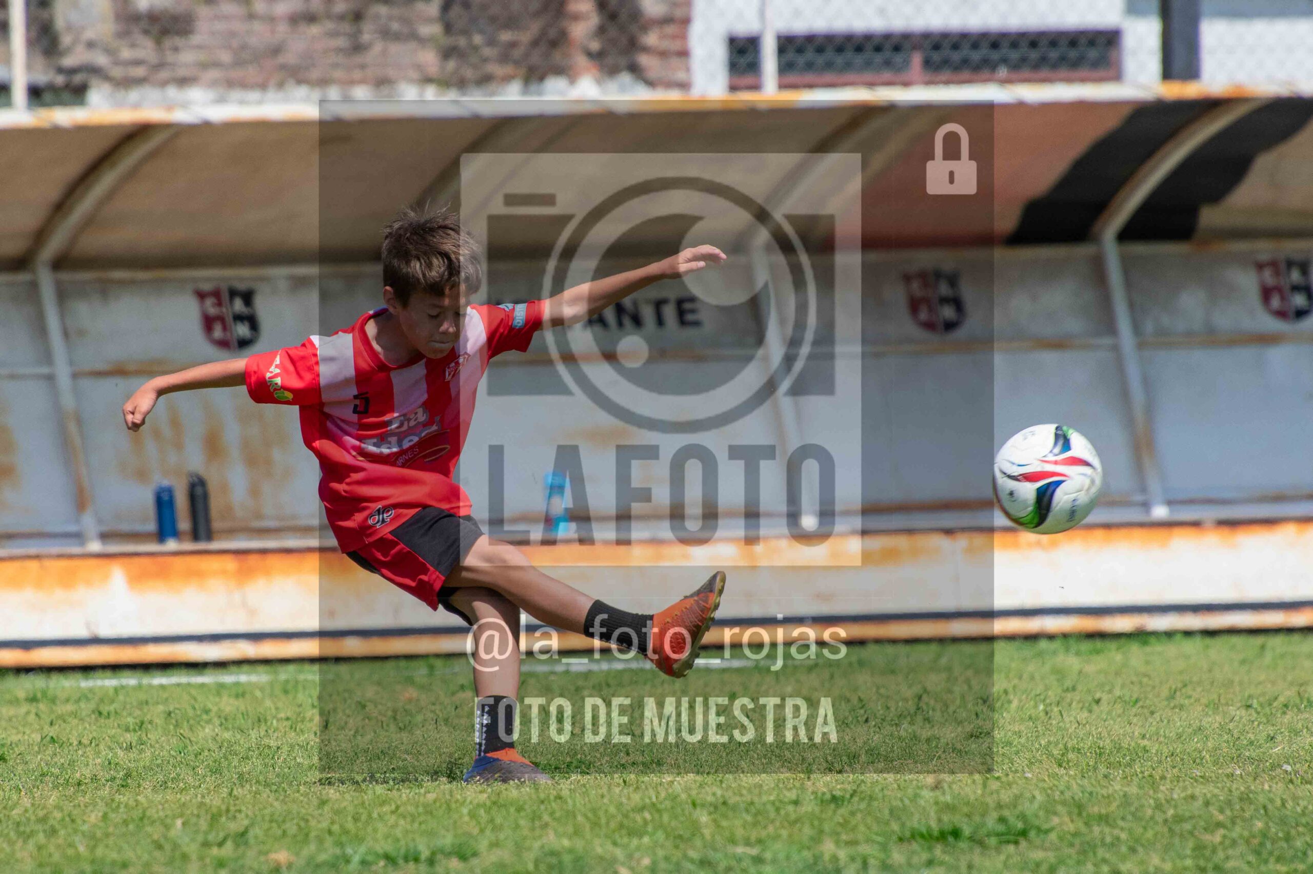 Fotografía 2015-NEW-JUVE-39-scaled de NEWBERY - JUVENTUD / 2015