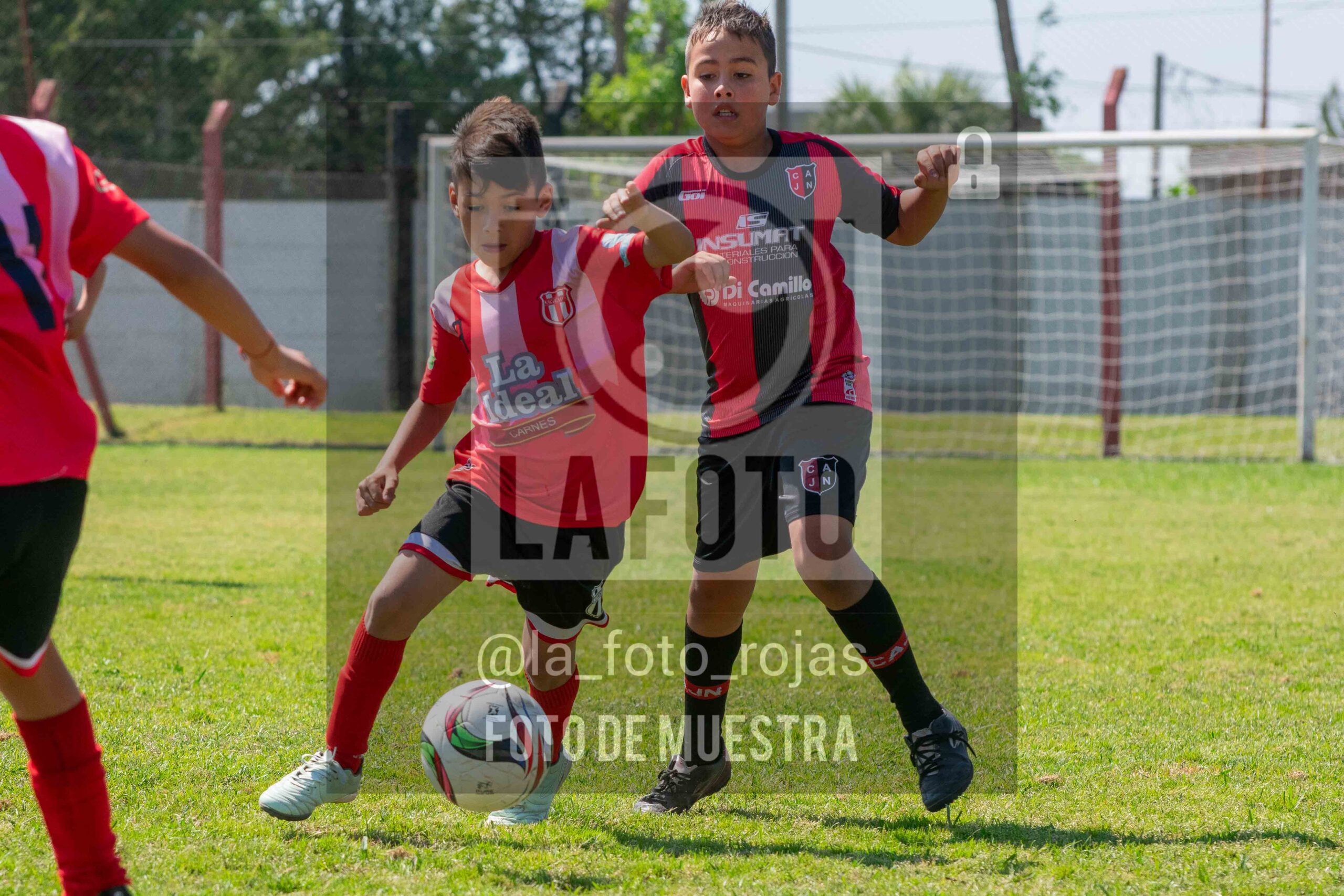Fotografía 2015-NEW-JUVE-4-scaled de NEWBERY - JUVENTUD / 2015