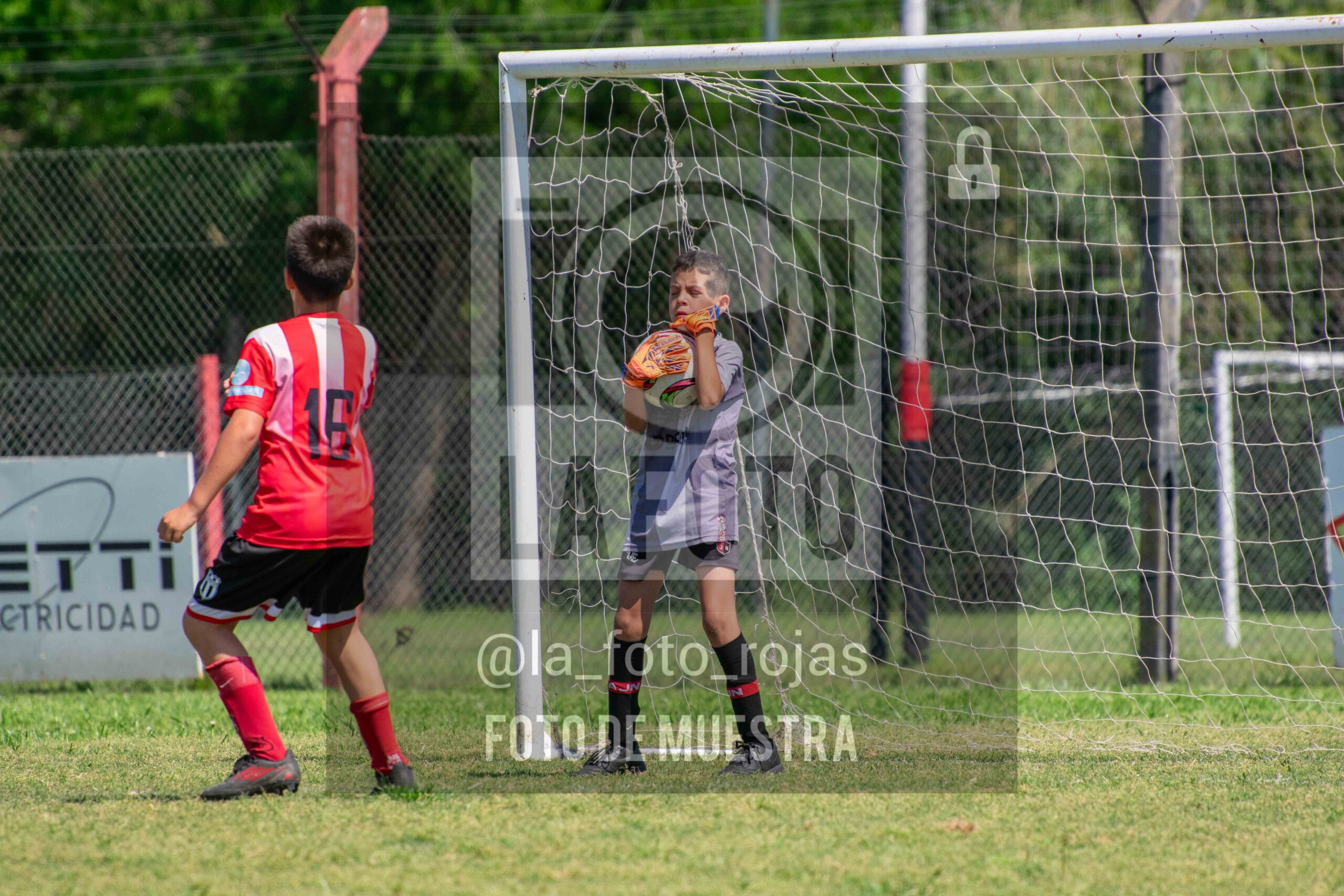 Fotografía 2015-NEW-JUVE-40-scaled de NEWBERY - JUVENTUD / 2015