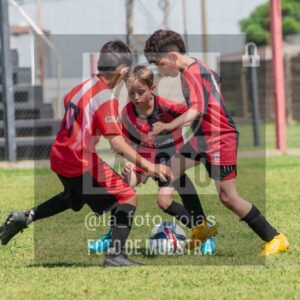 Fotografía 2015-NEW-JUVE-42-scaled de NEWBERY - JUVENTUD / 2015