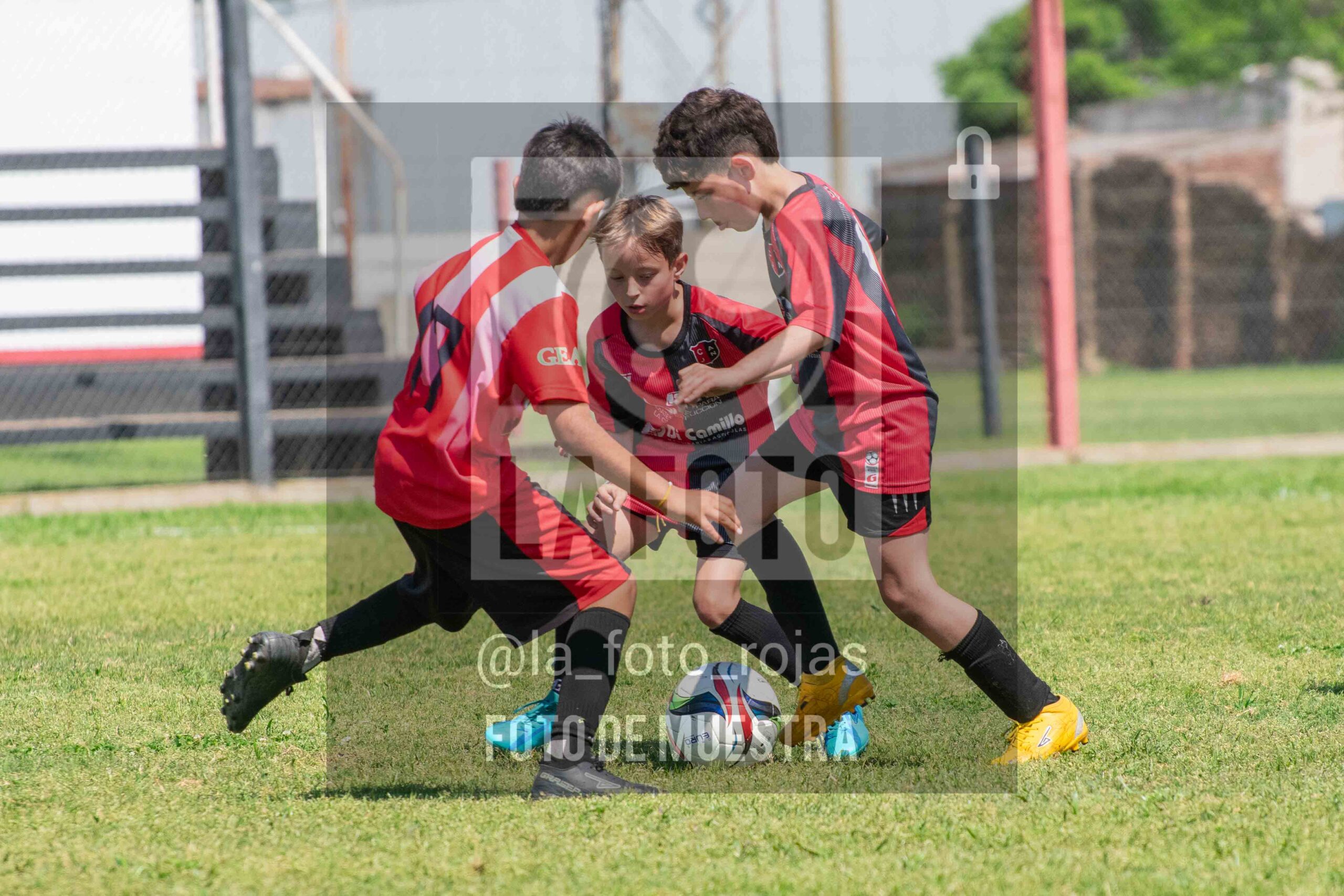 Fotografía 2015-NEW-JUVE-42-scaled de NEWBERY - JUVENTUD / 2015