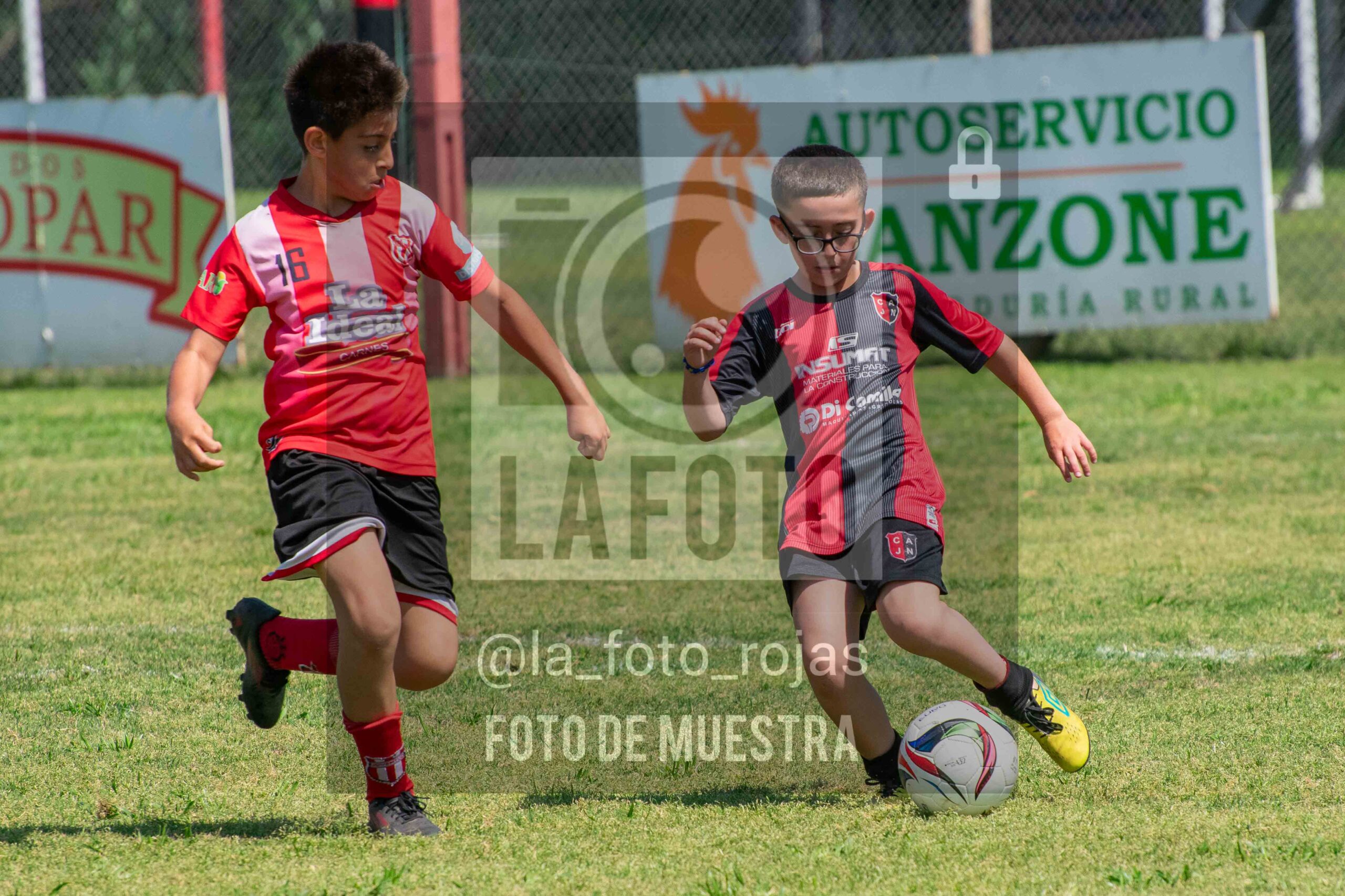 Fotografía 2015-NEW-JUVE-46-scaled de NEWBERY - JUVENTUD / 2015